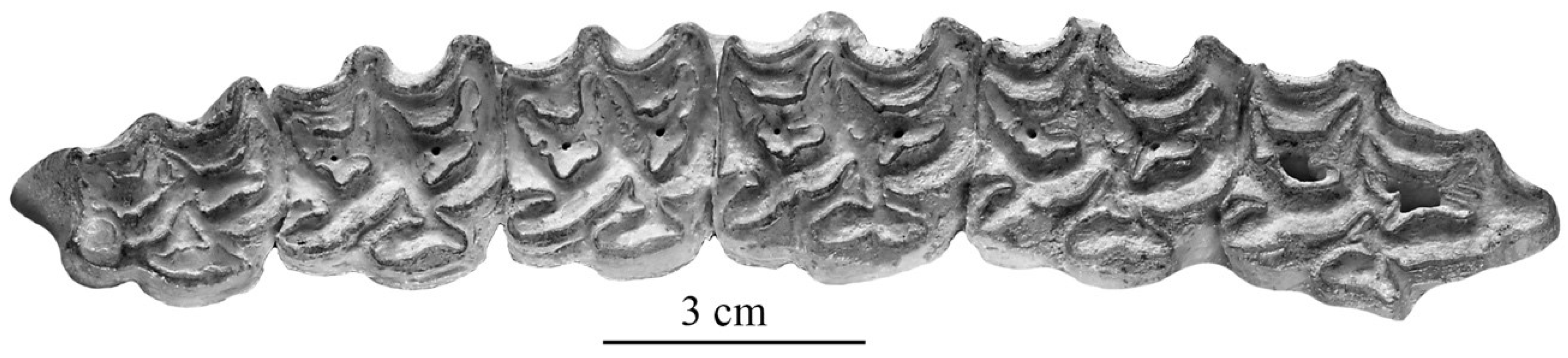 Quaternary 05 00038 g020 Quaternary 05 00038 g020