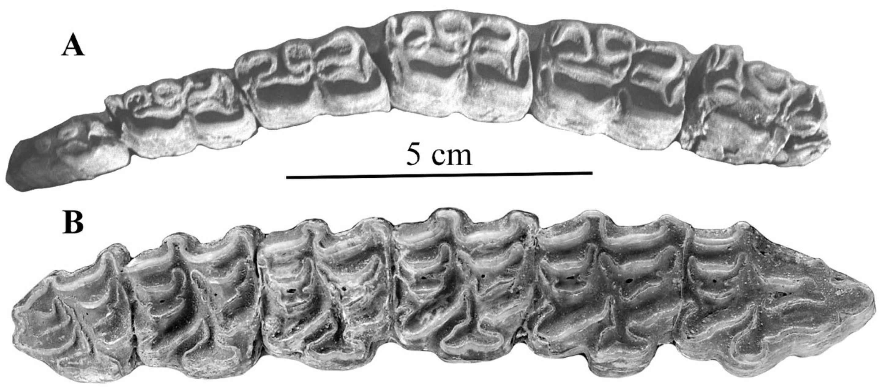 Quaternary 05 00038 g022 Quaternary 05 00038 g022