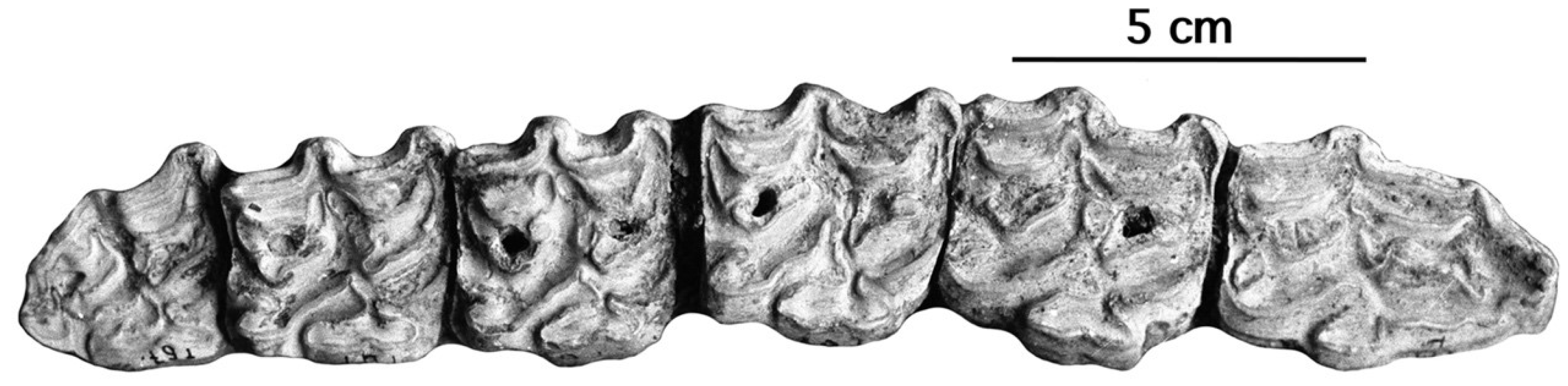 Quaternary 05 00038 g025 Quaternary 05 00038 g025