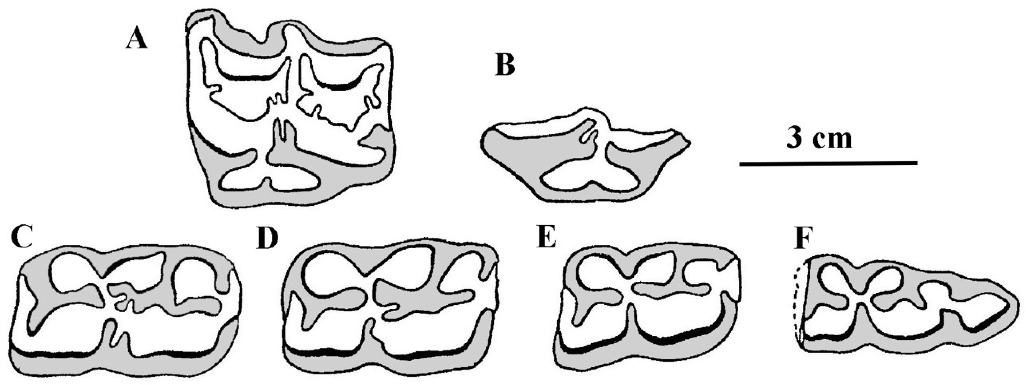 Quaternary 05 00038 g026 Quaternary 05 00038 g026