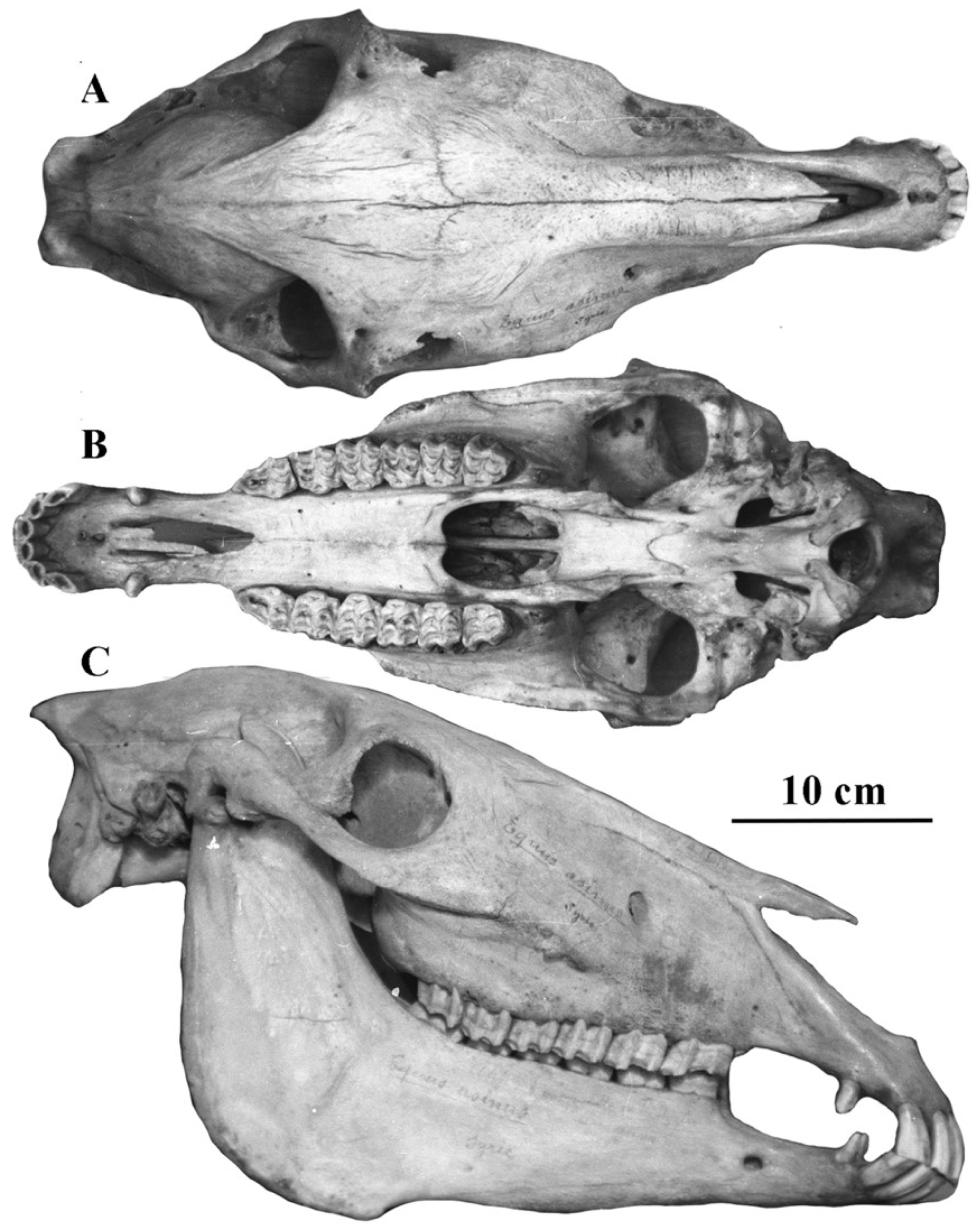 Quaternary 05 00038 g027 Quaternary 05 00038 g027