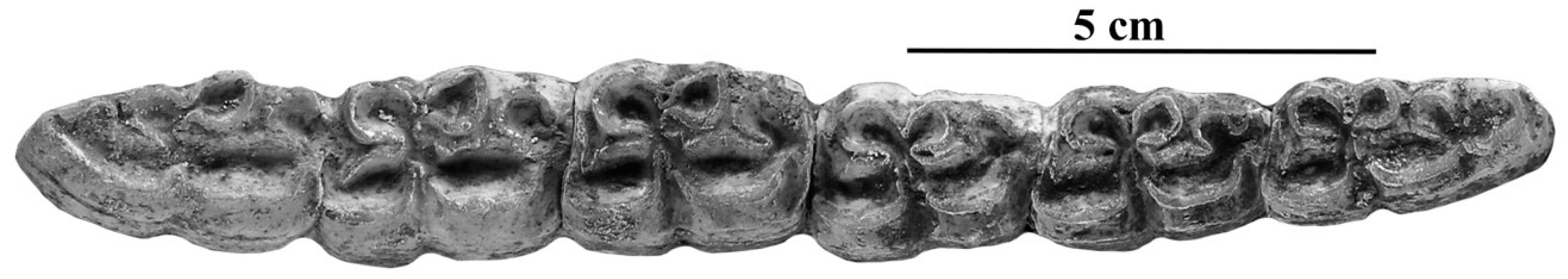 Quaternary 05 00038 g030 Quaternary 05 00038 g030