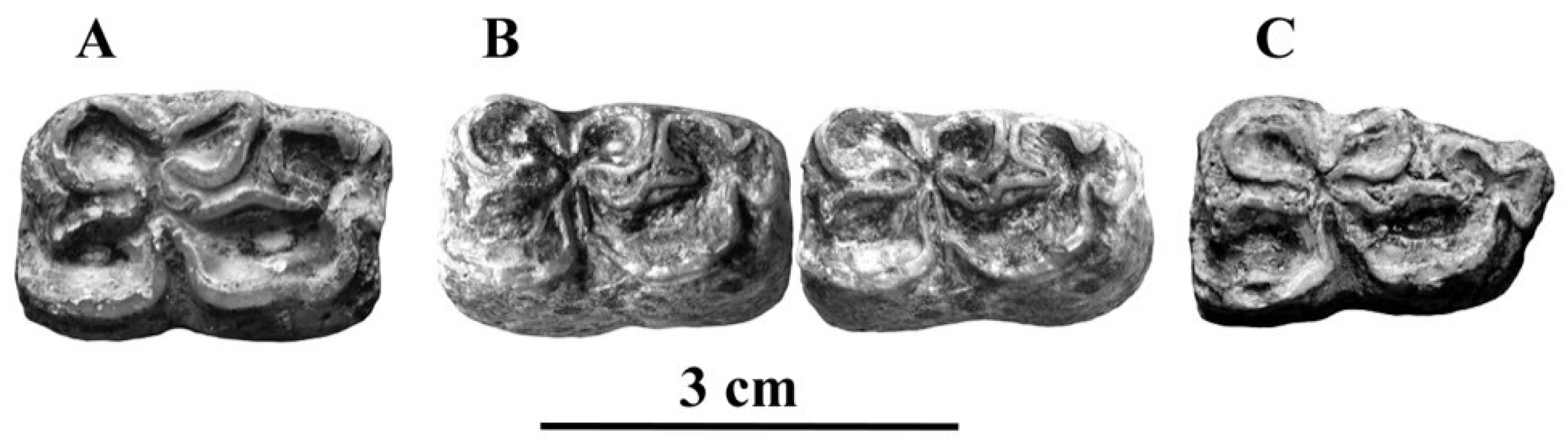 Quaternary 05 00038 g031 Quaternary 05 00038 g031