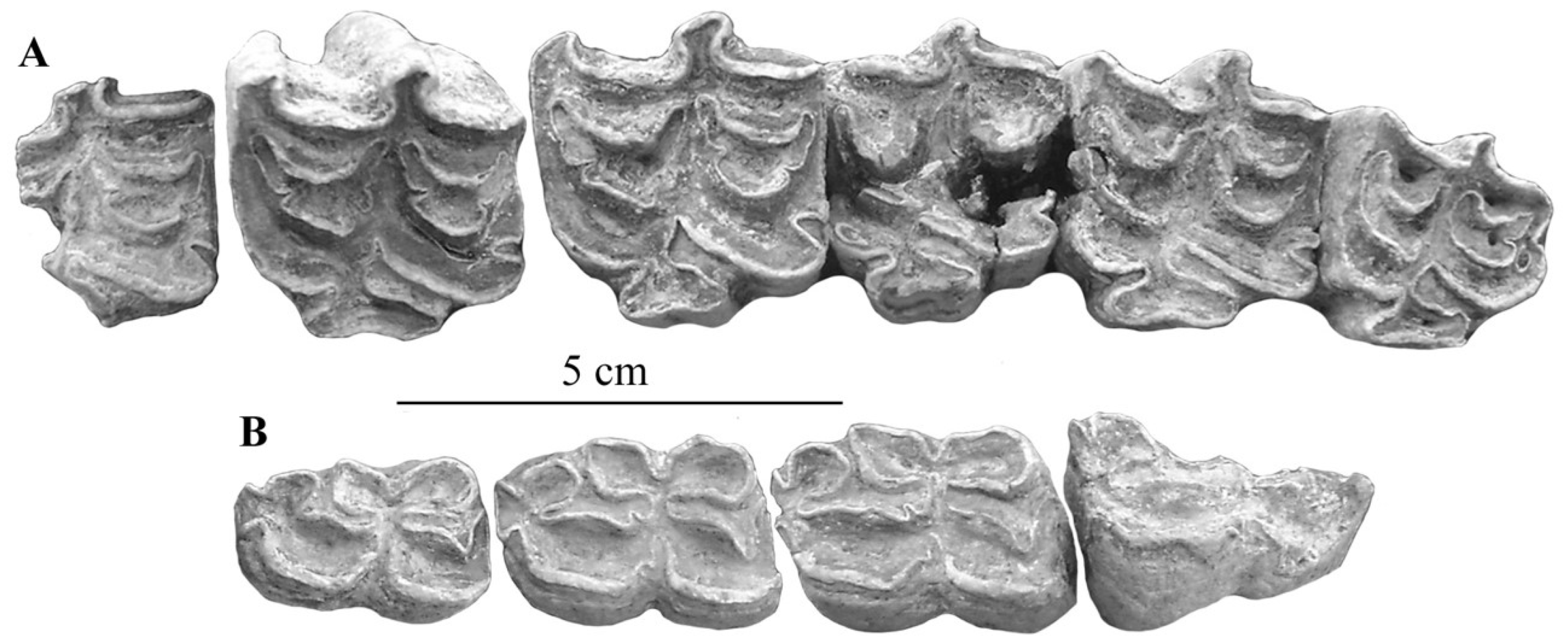 Quaternary 05 00038 g032 Quaternary 05 00038 g032