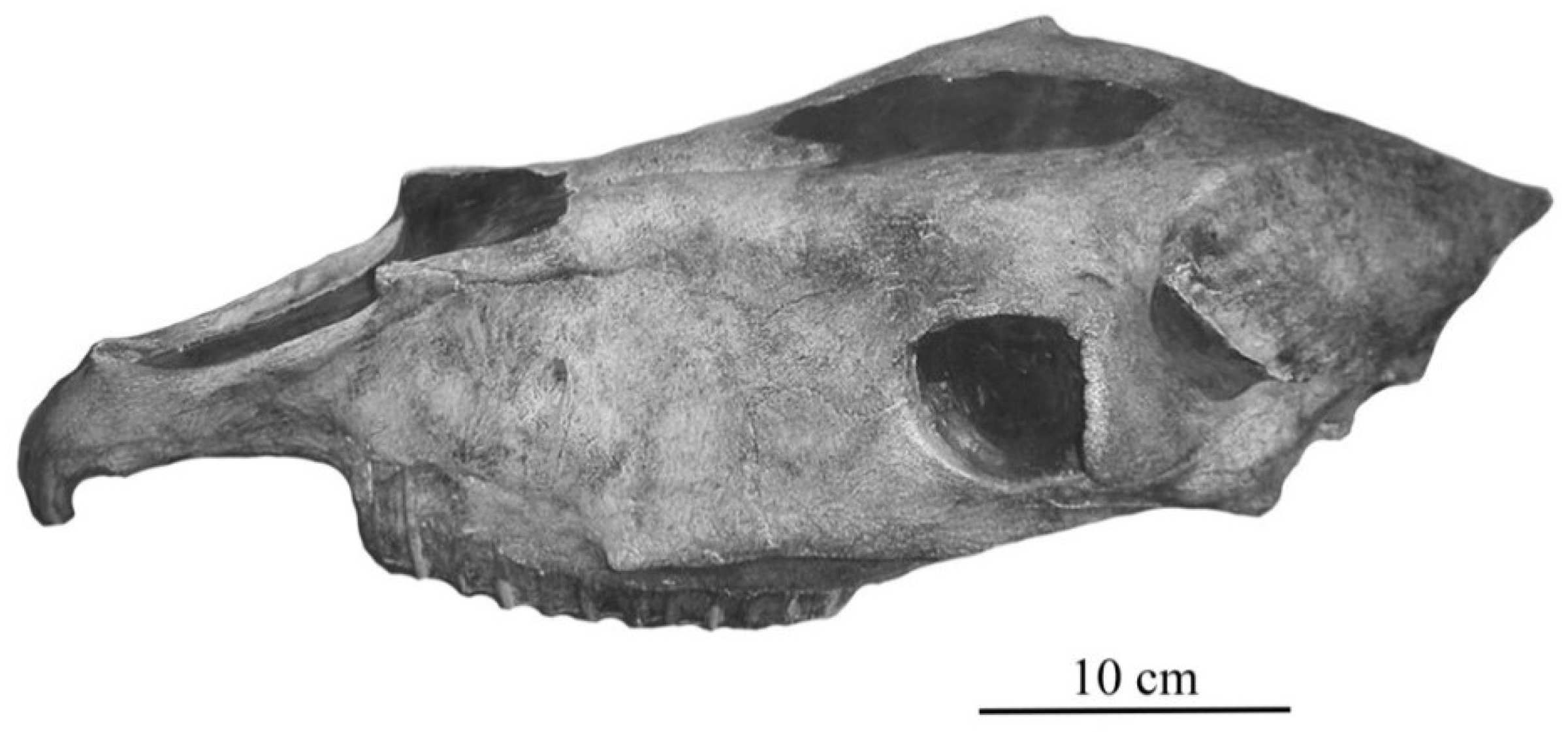Quaternary 05 00038 g034 Quaternary 05 00038 g034