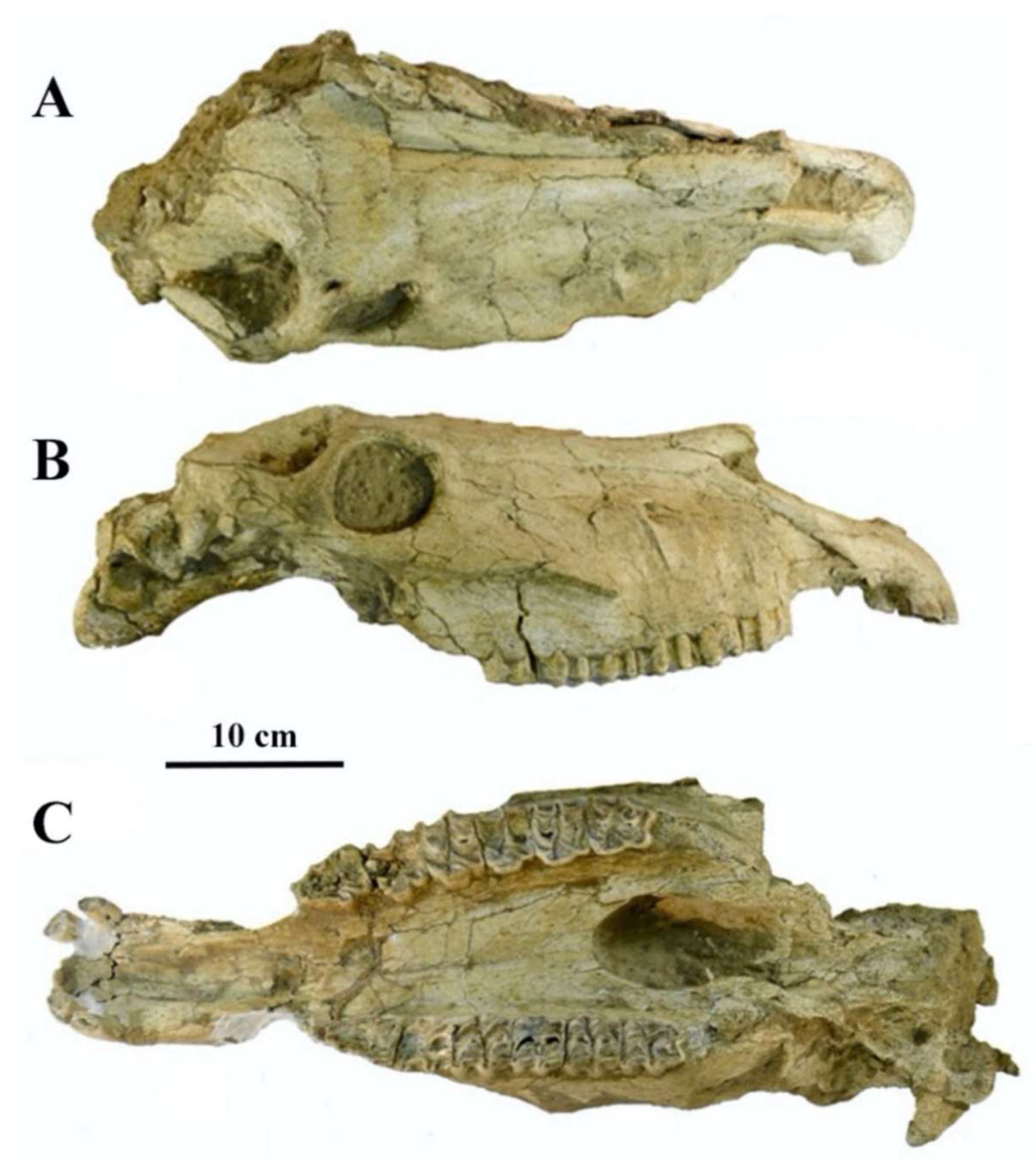 Quaternary 05 00038 g037 Quaternary 05 00038 g037