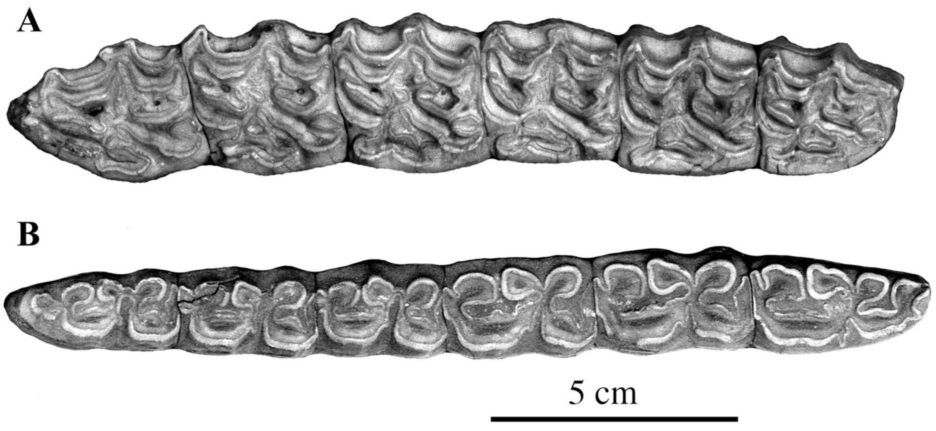 Quaternary 05 00038 g043 Quaternary 05 00038 g043