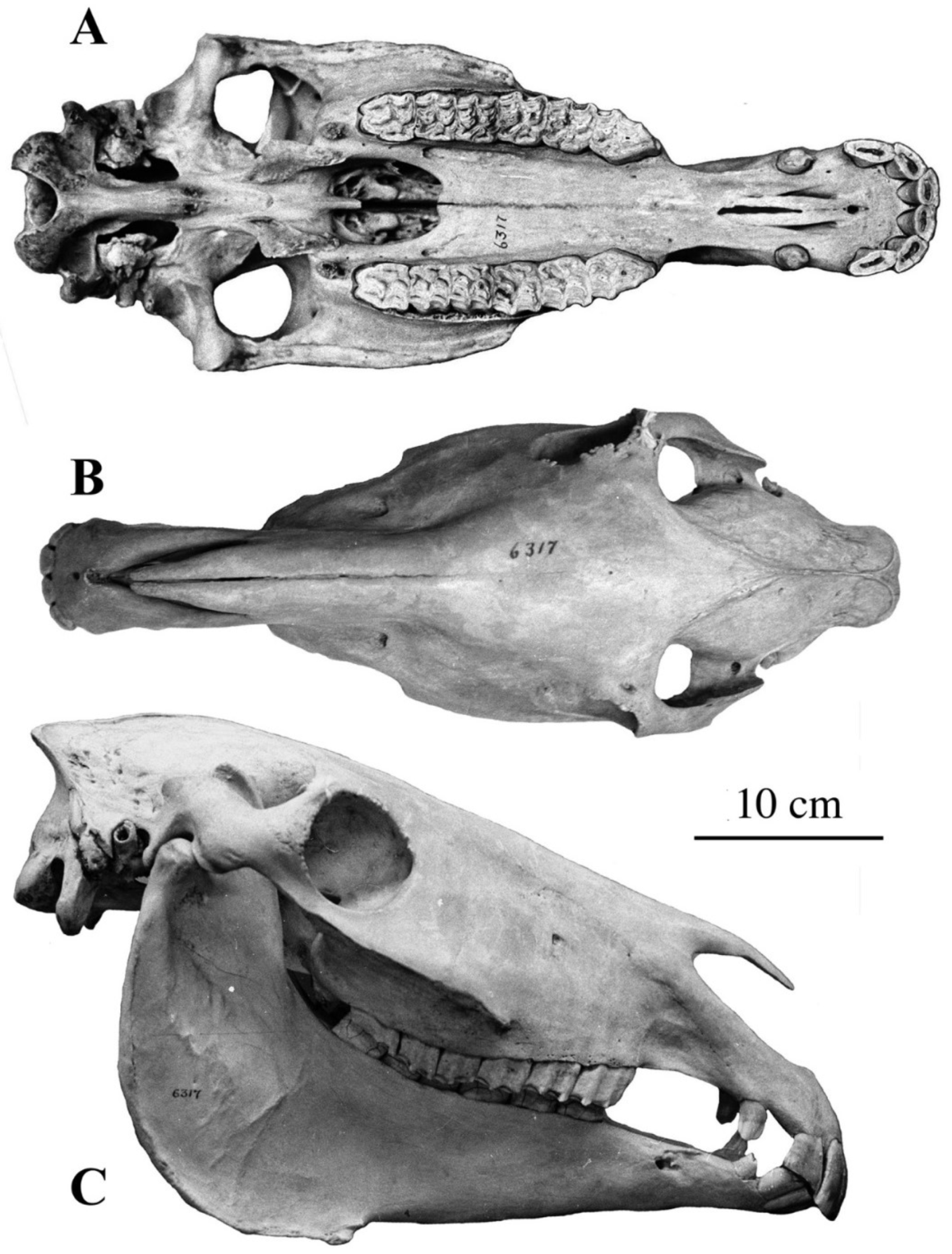 Quaternary 05 00038 g045 Quaternary 05 00038 g045