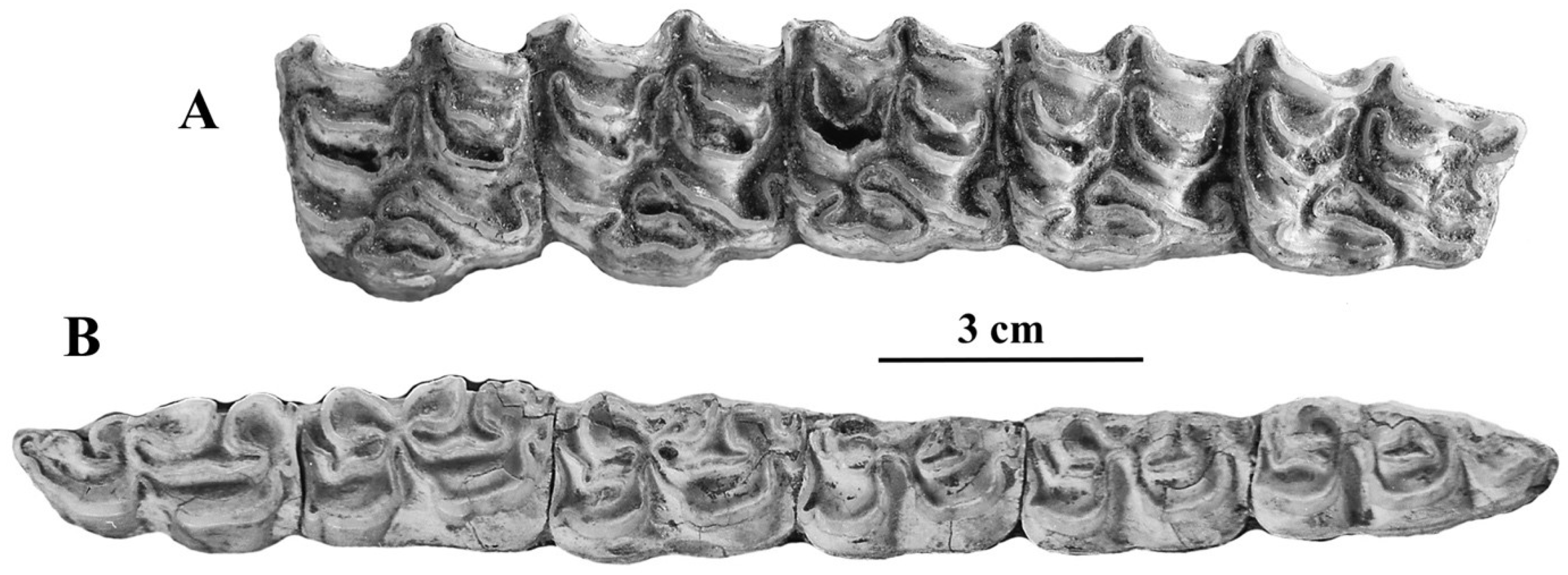 Quaternary 05 00038 g049 Quaternary 05 00038 g049