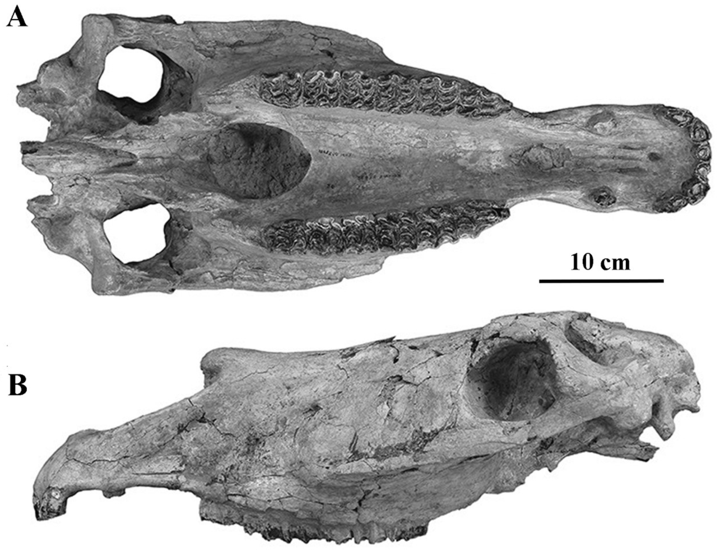 Quaternary 05 00038 g050 Quaternary 05 00038 g050