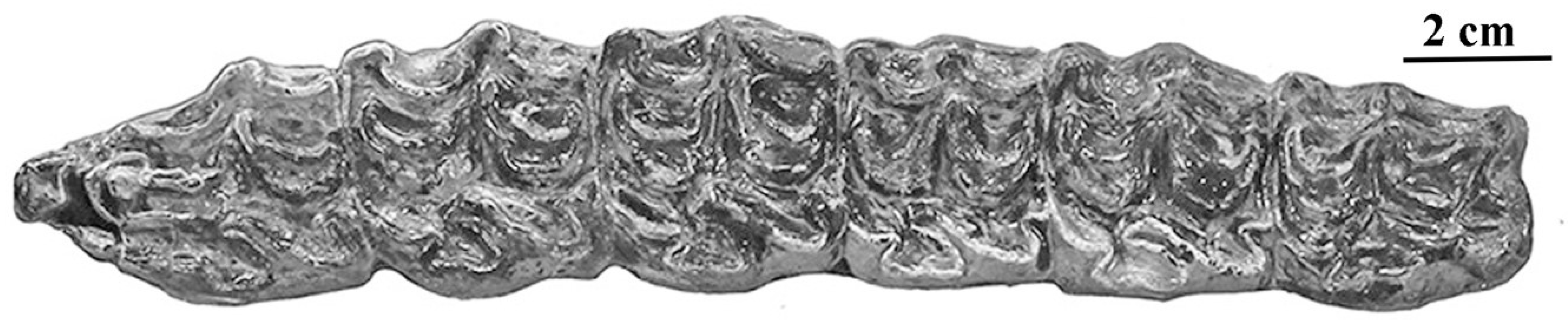 Quaternary 05 00038 g051 Quaternary 05 00038 g051