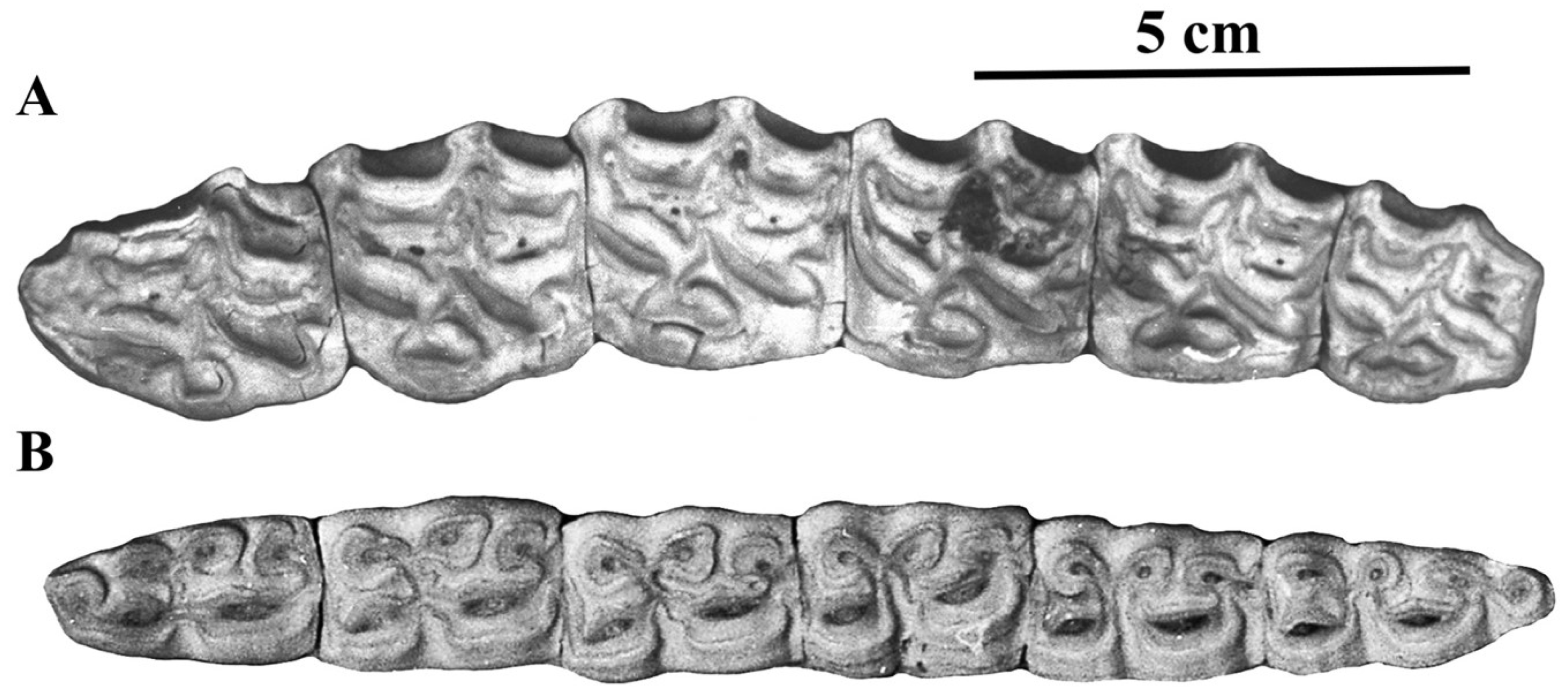 Quaternary 05 00038 g053 Quaternary 05 00038 g053