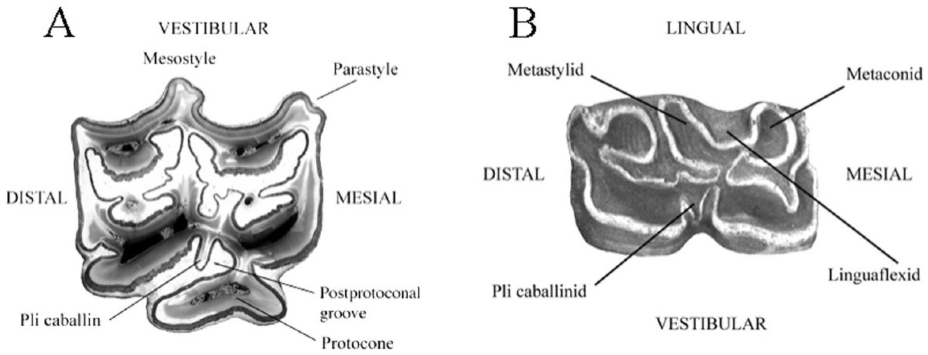 Quaternary 05 00038 g055 Quaternary 05 00038 g055