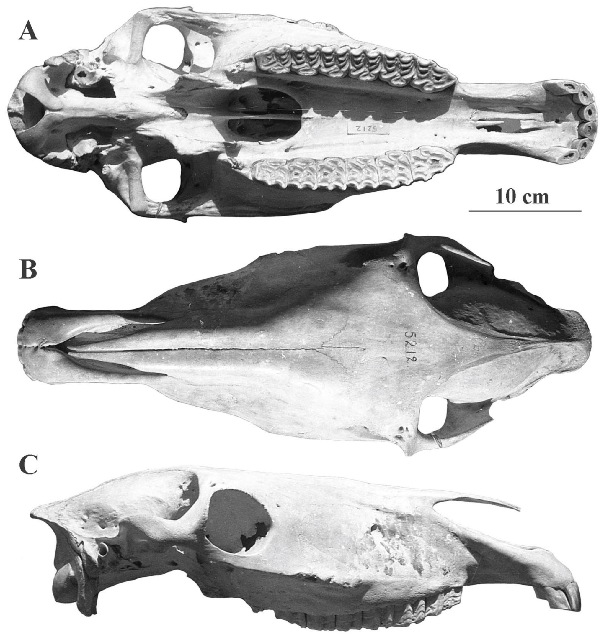 Quaternary 05 00038 g058 Quaternary 05 00038 g058