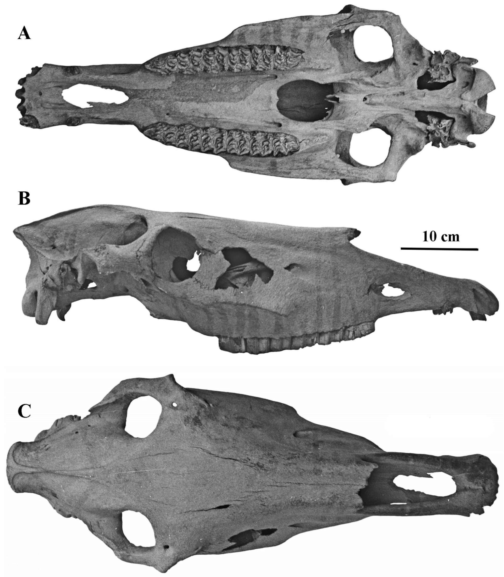 Quaternary 05 00038 g060 Quaternary 05 00038 g060