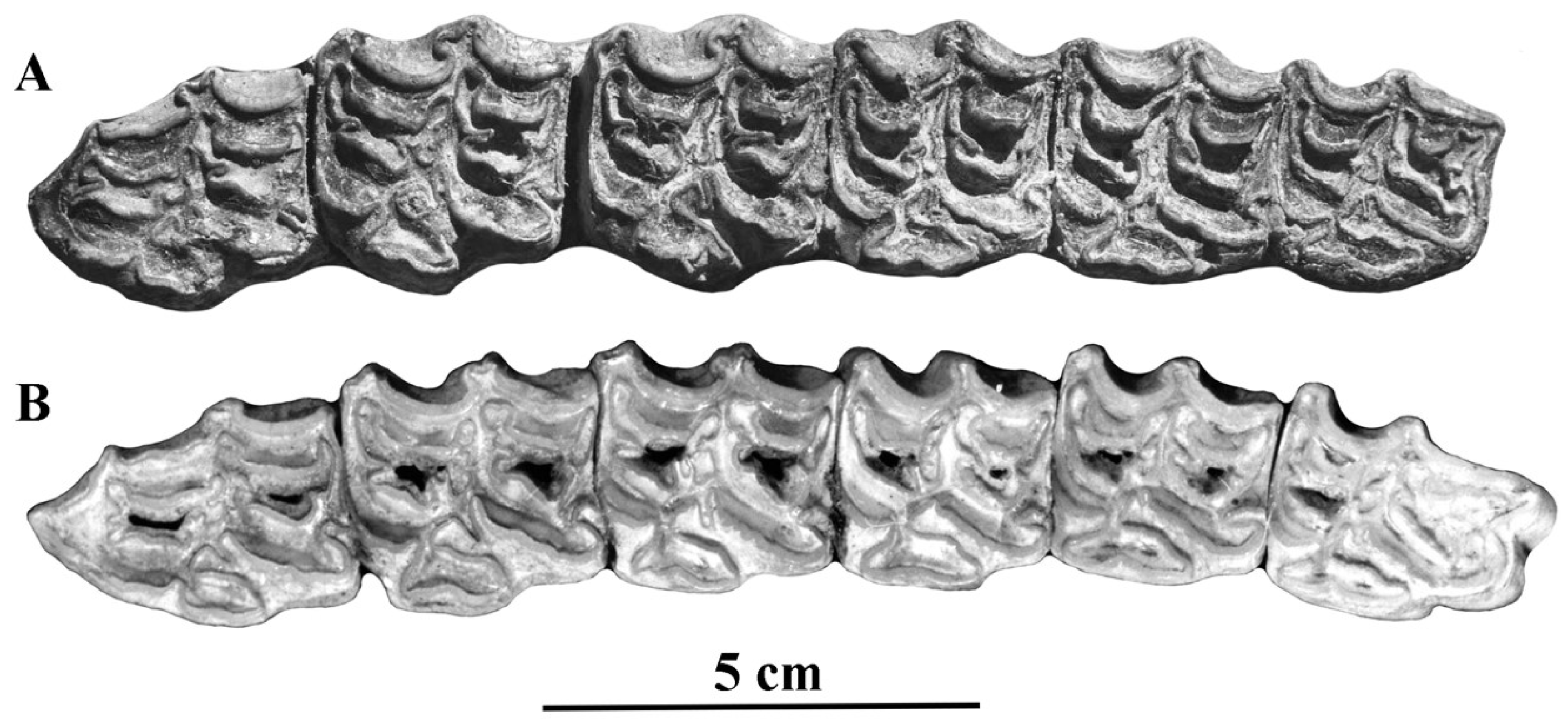 Quaternary 05 00038 g065 Quaternary 05 00038 g065