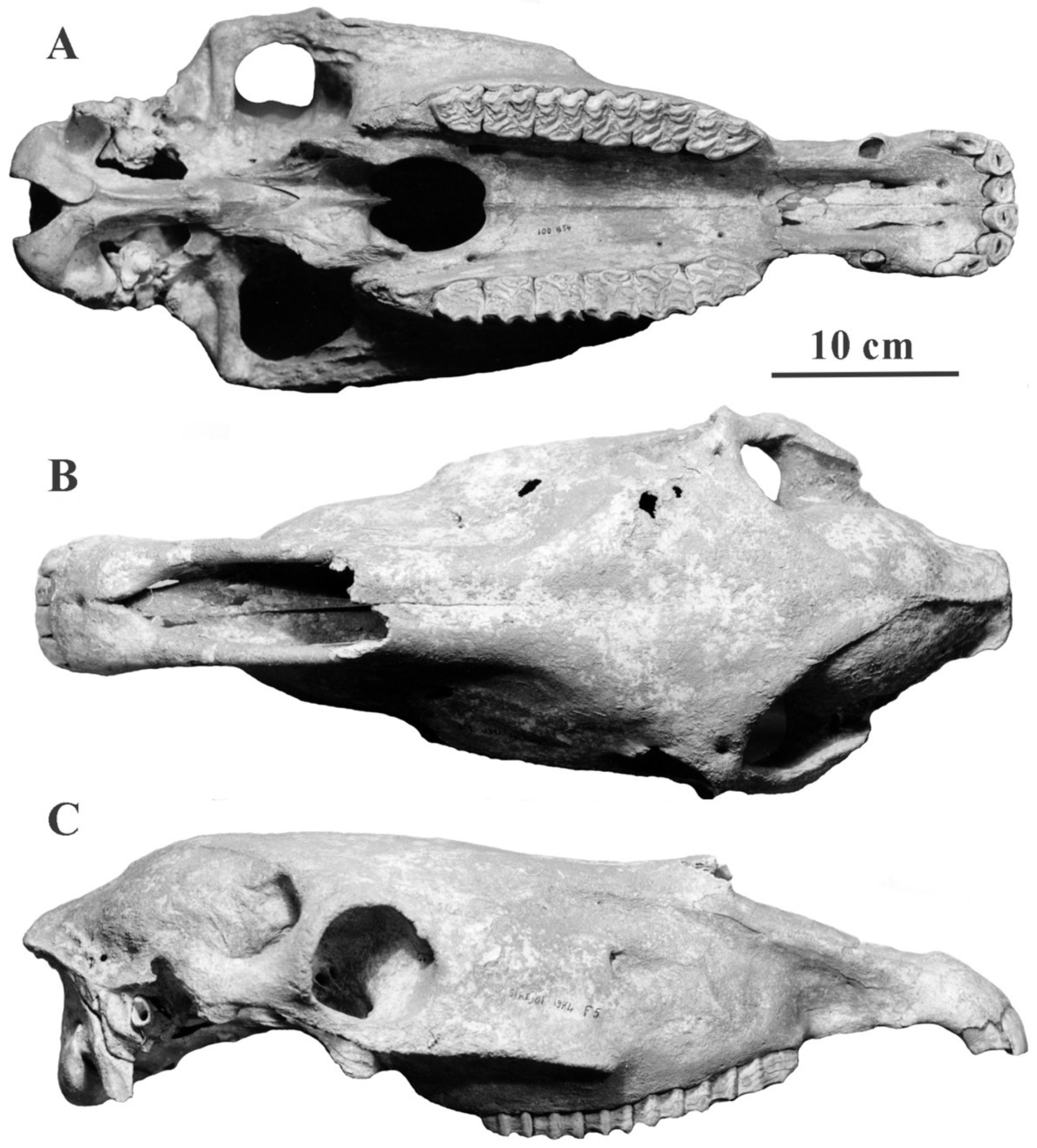 Quaternary 05 00038 g066 Quaternary 05 00038 g066