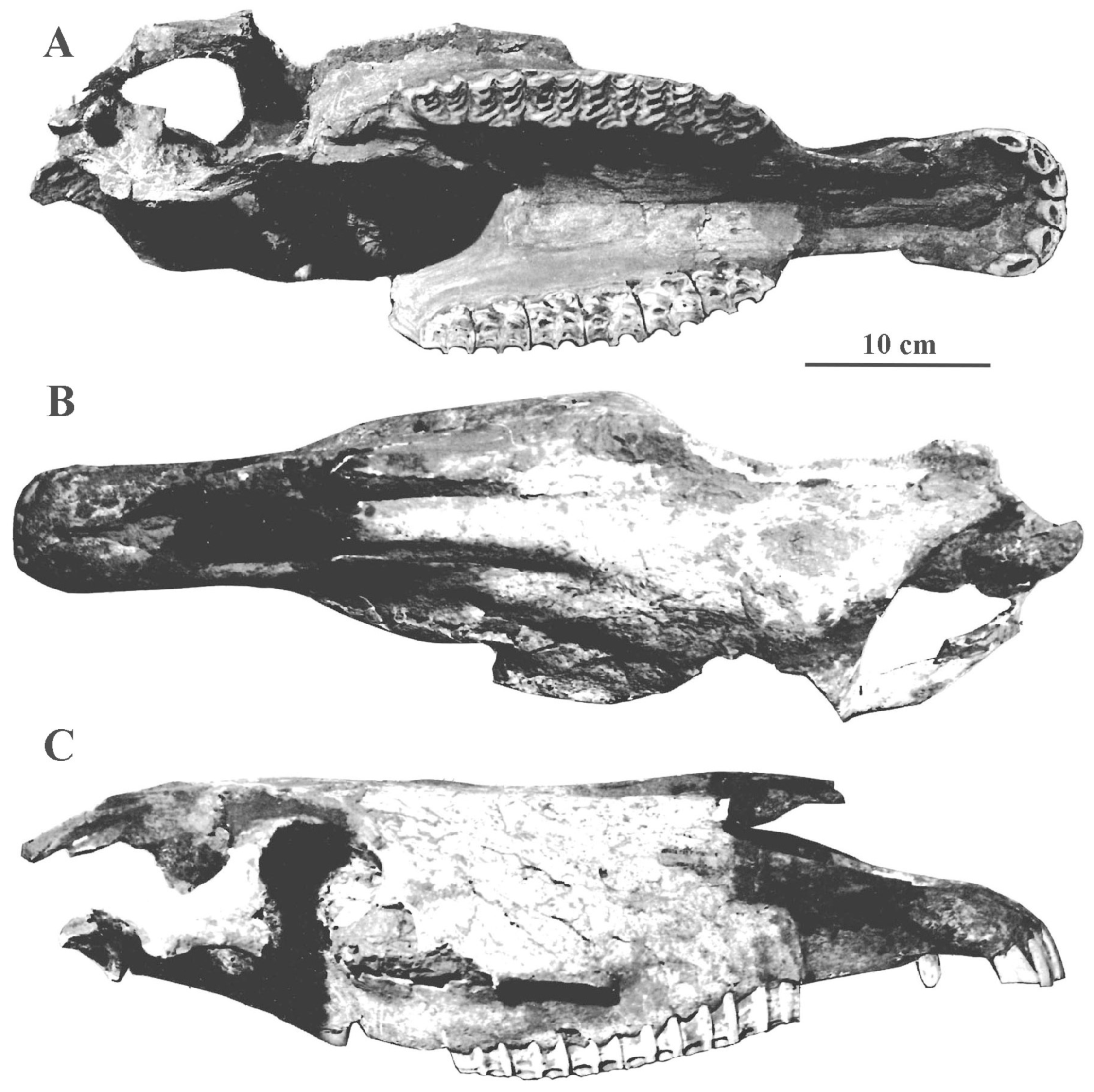 Quaternary 05 00038 g067 Quaternary 05 00038 g067