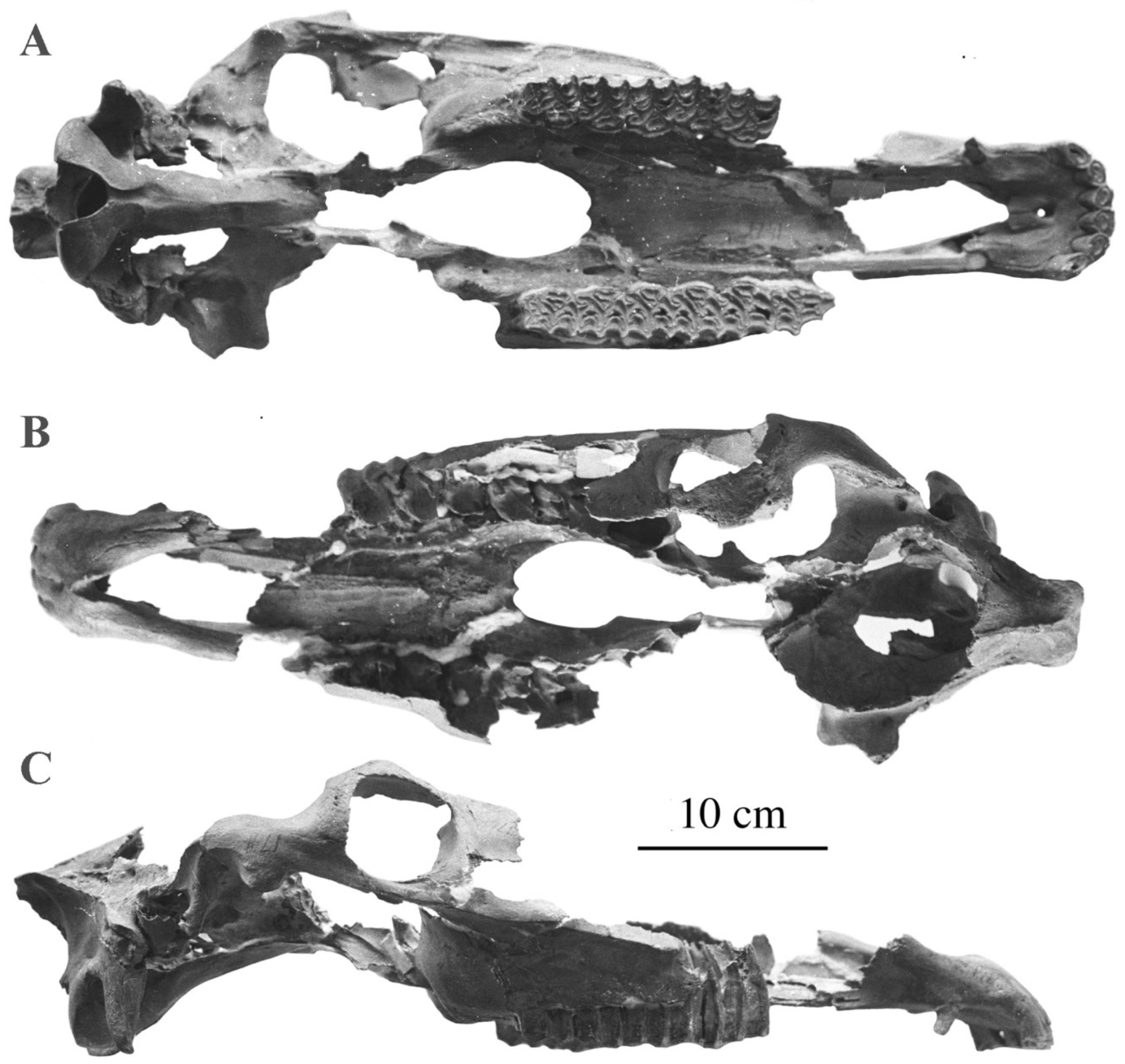 Quaternary 05 00038 g068 Quaternary 05 00038 g068