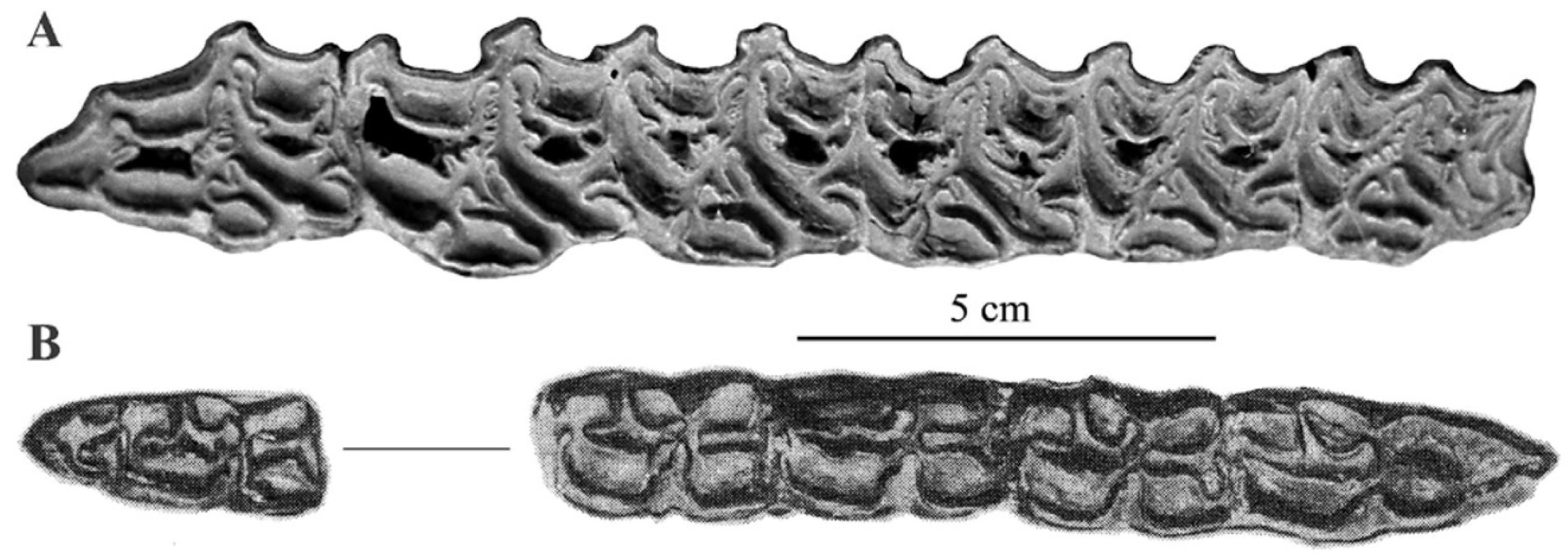 Quaternary 05 00038 g070 Quaternary 05 00038 g070