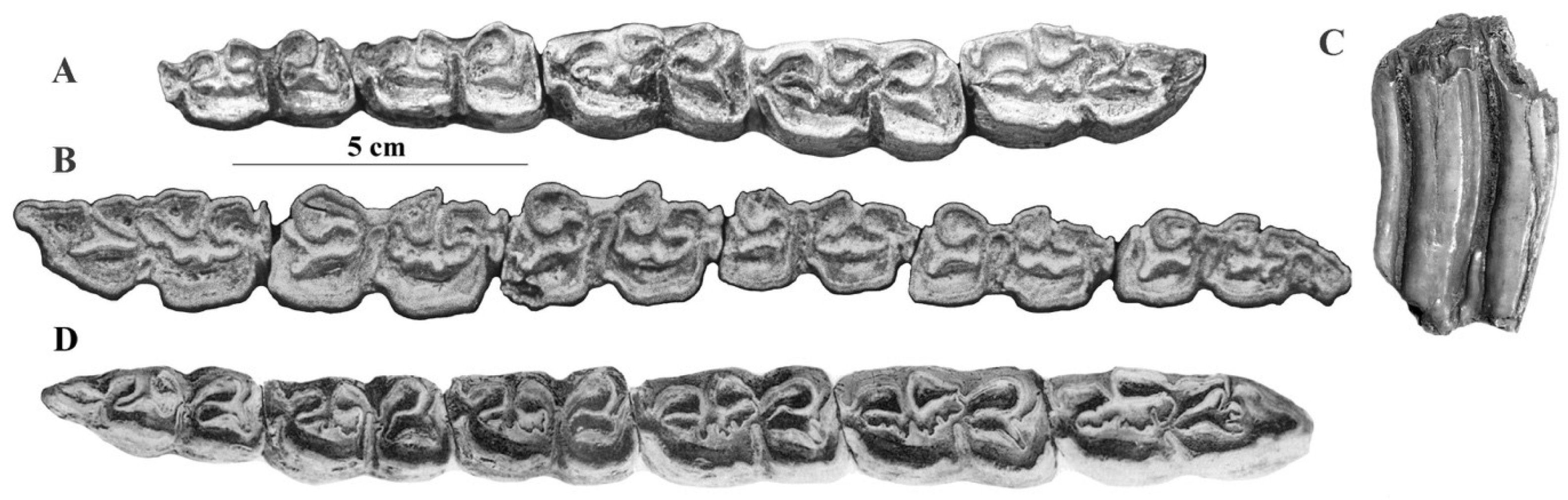 Quaternary 05 00038 g074 Quaternary 05 00038 g074