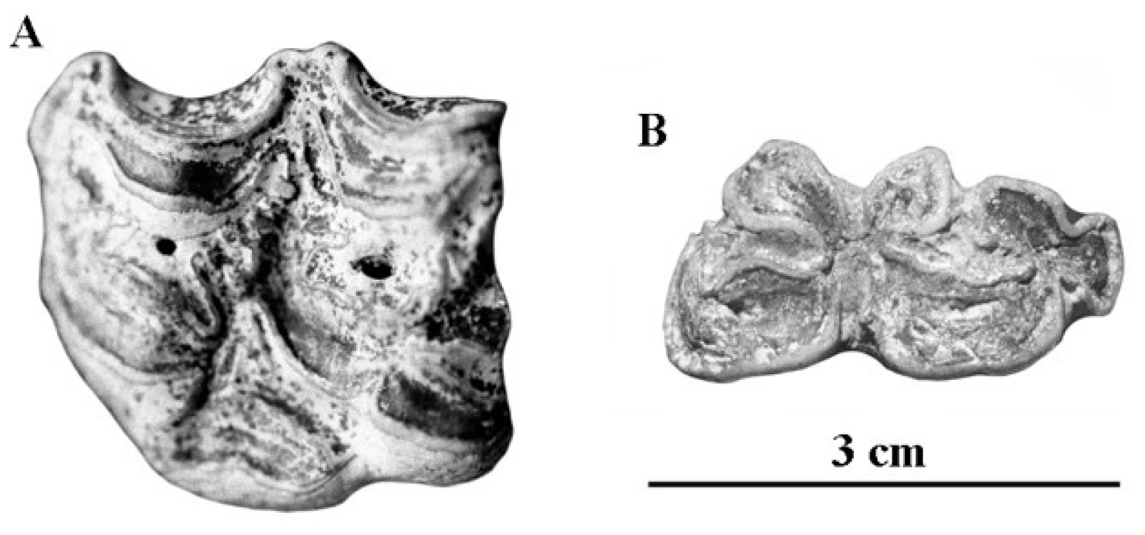 Quaternary 05 00038 g075 Quaternary 05 00038 g075
