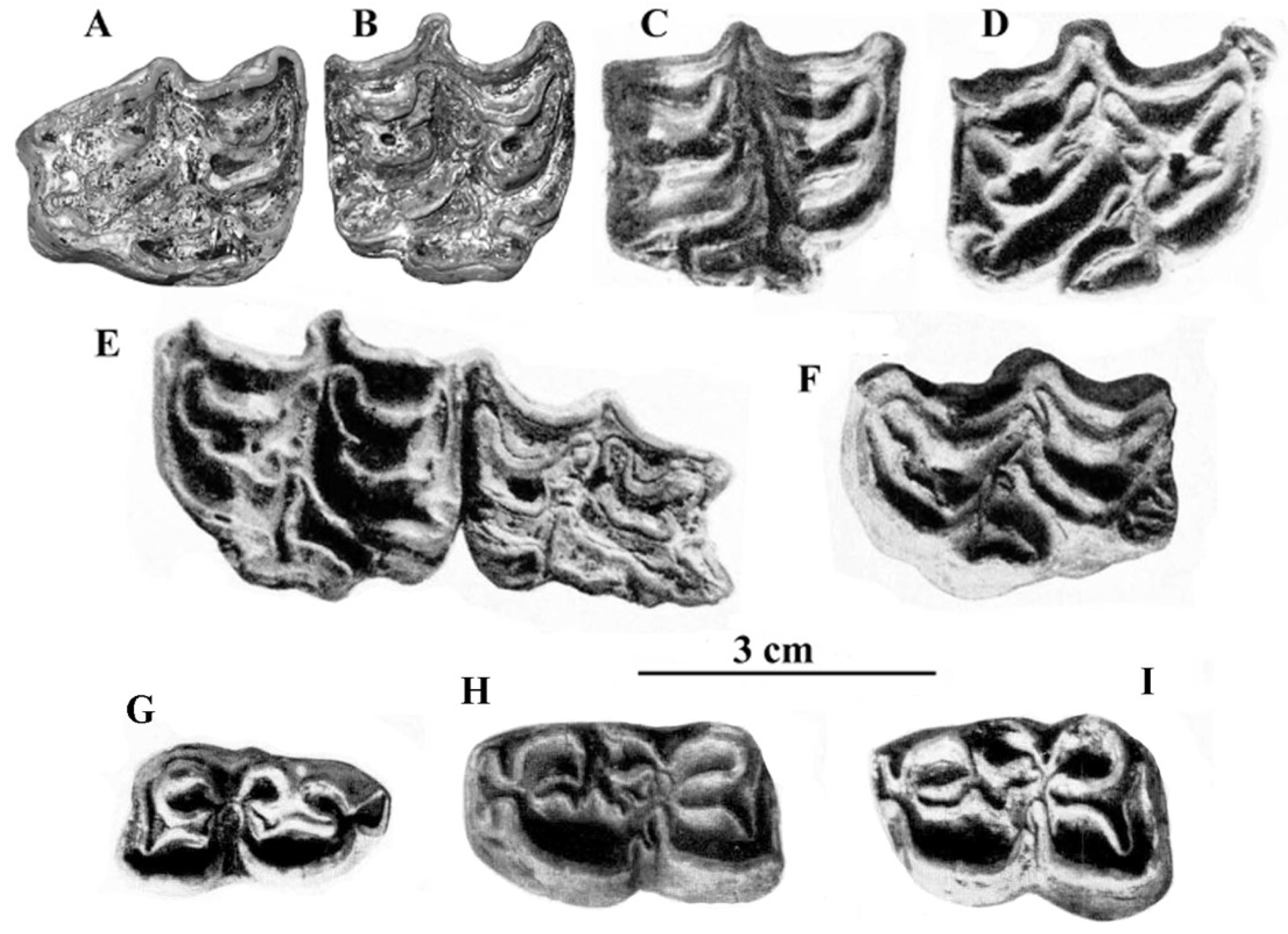 Quaternary 05 00038 g079 Quaternary 05 00038 g079