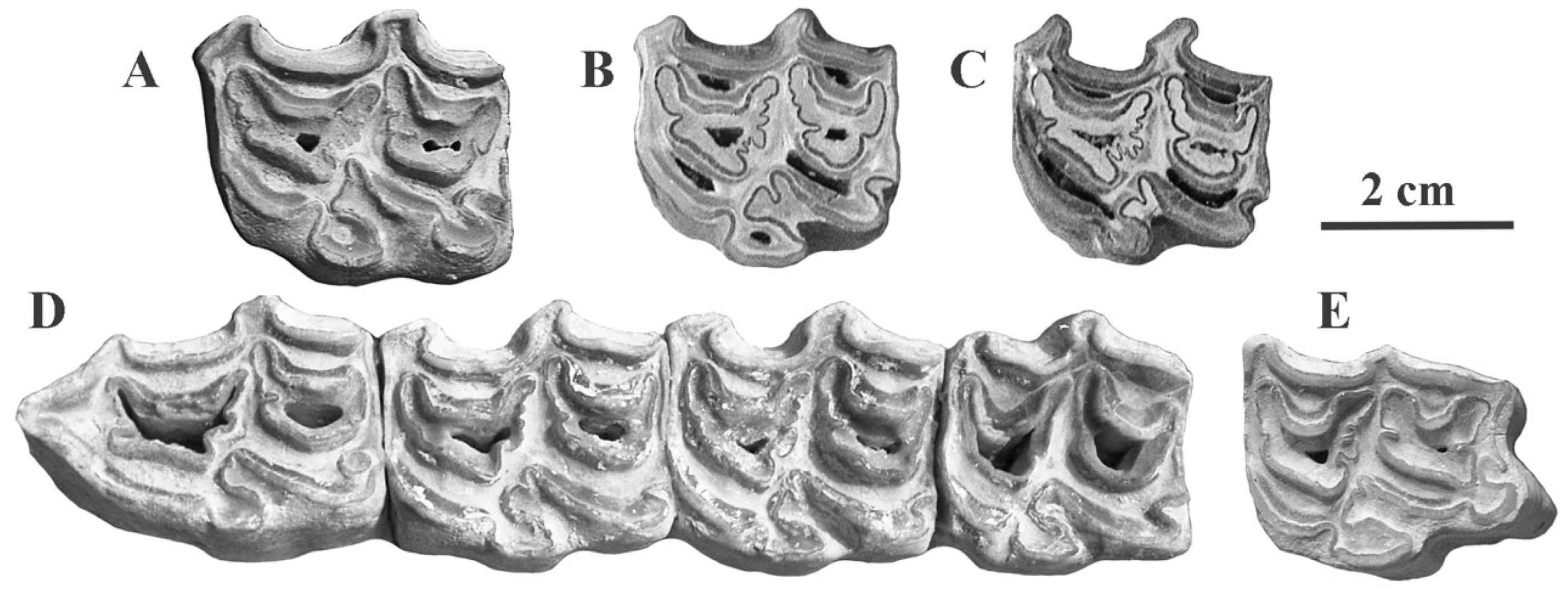 Quaternary 05 00038 g081 Quaternary 05 00038 g081