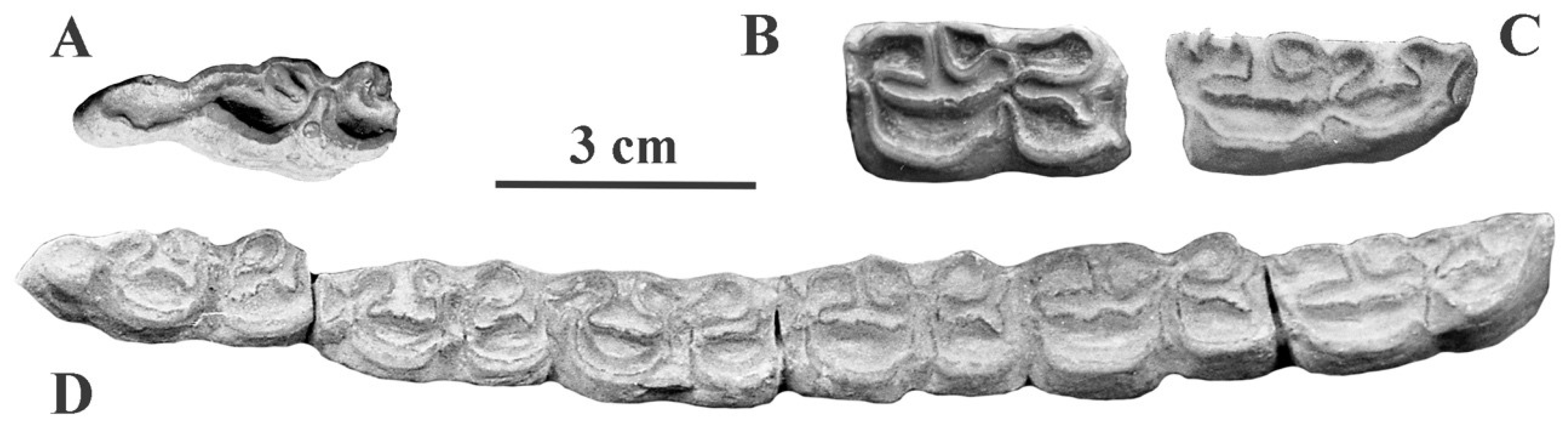 Quaternary 05 00038 g082 Quaternary 05 00038 g082