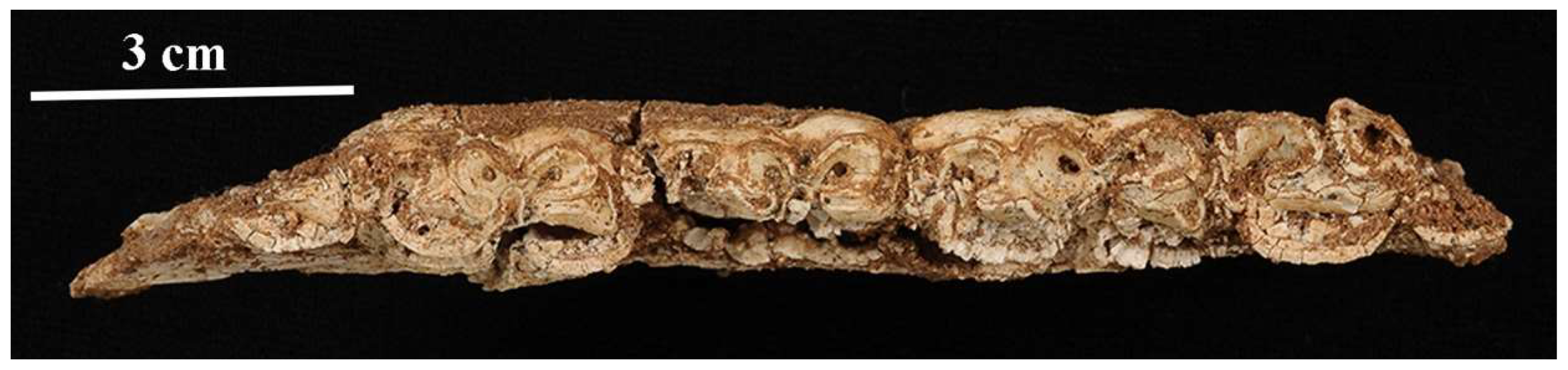 Quaternary 05 00038 g085 Quaternary 05 00038 g085