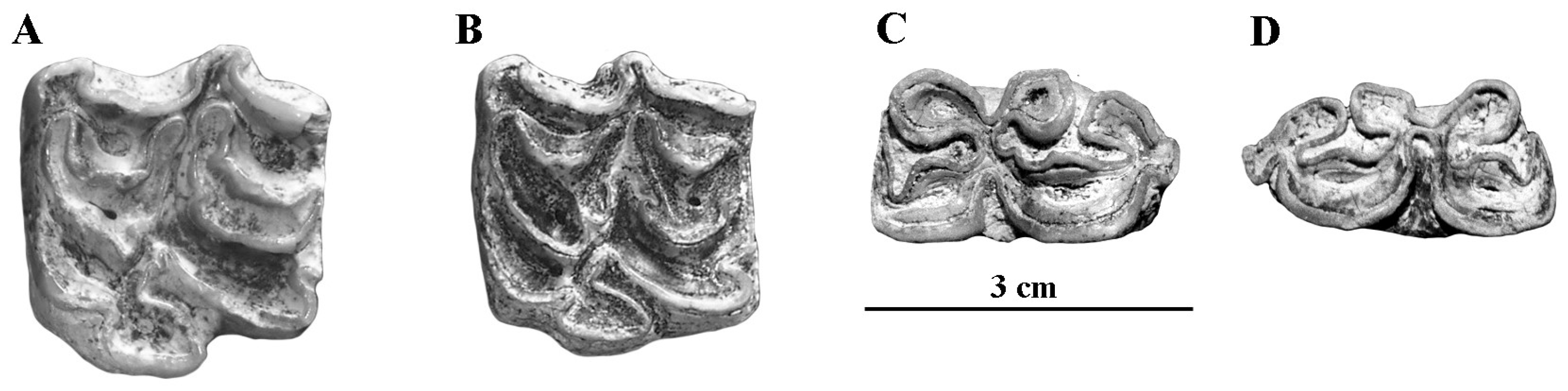 Quaternary 05 00038 g086 Quaternary 05 00038 g086