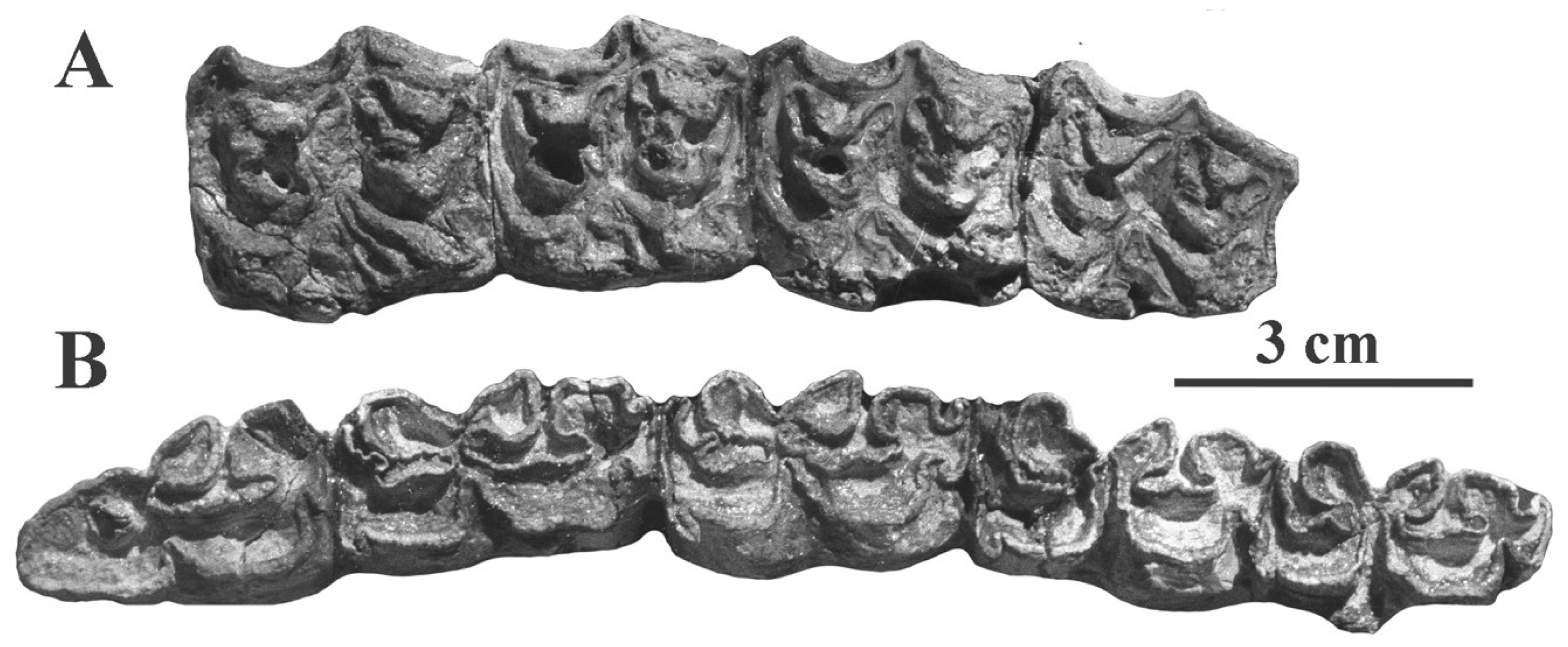 Quaternary 05 00038 g087 Quaternary 05 00038 g087