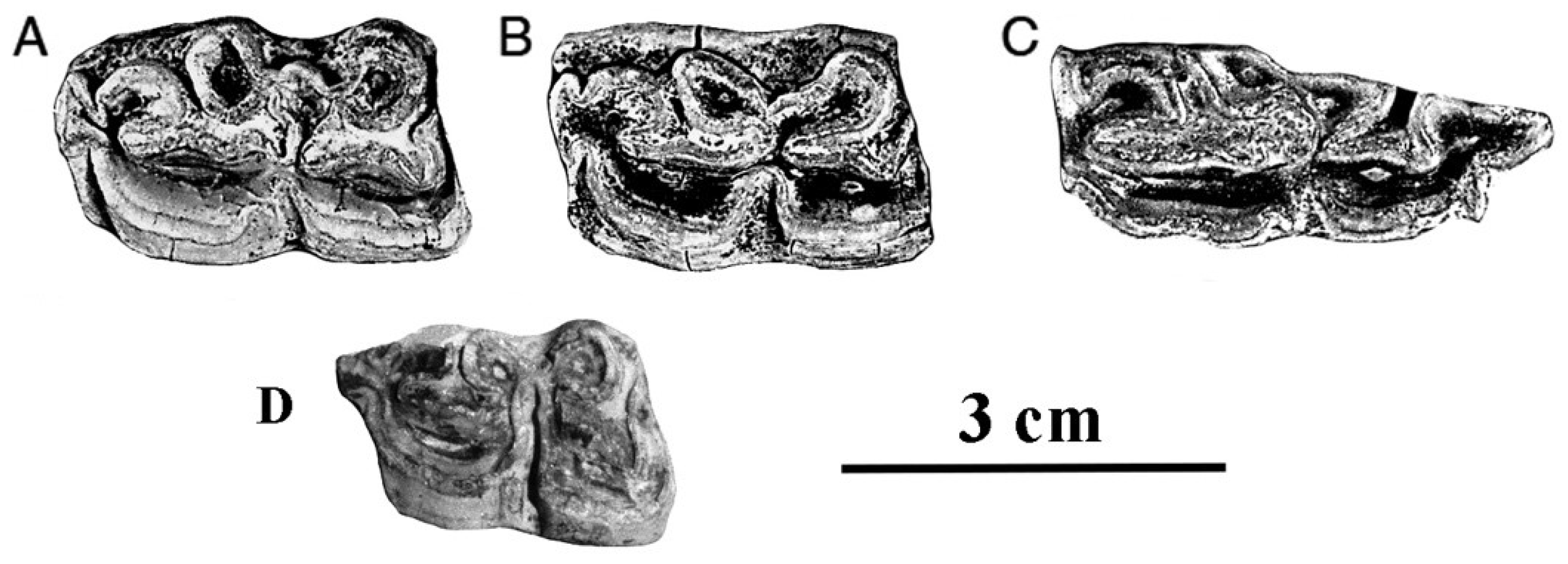 Quaternary 05 00038 g088 Quaternary 05 00038 g088