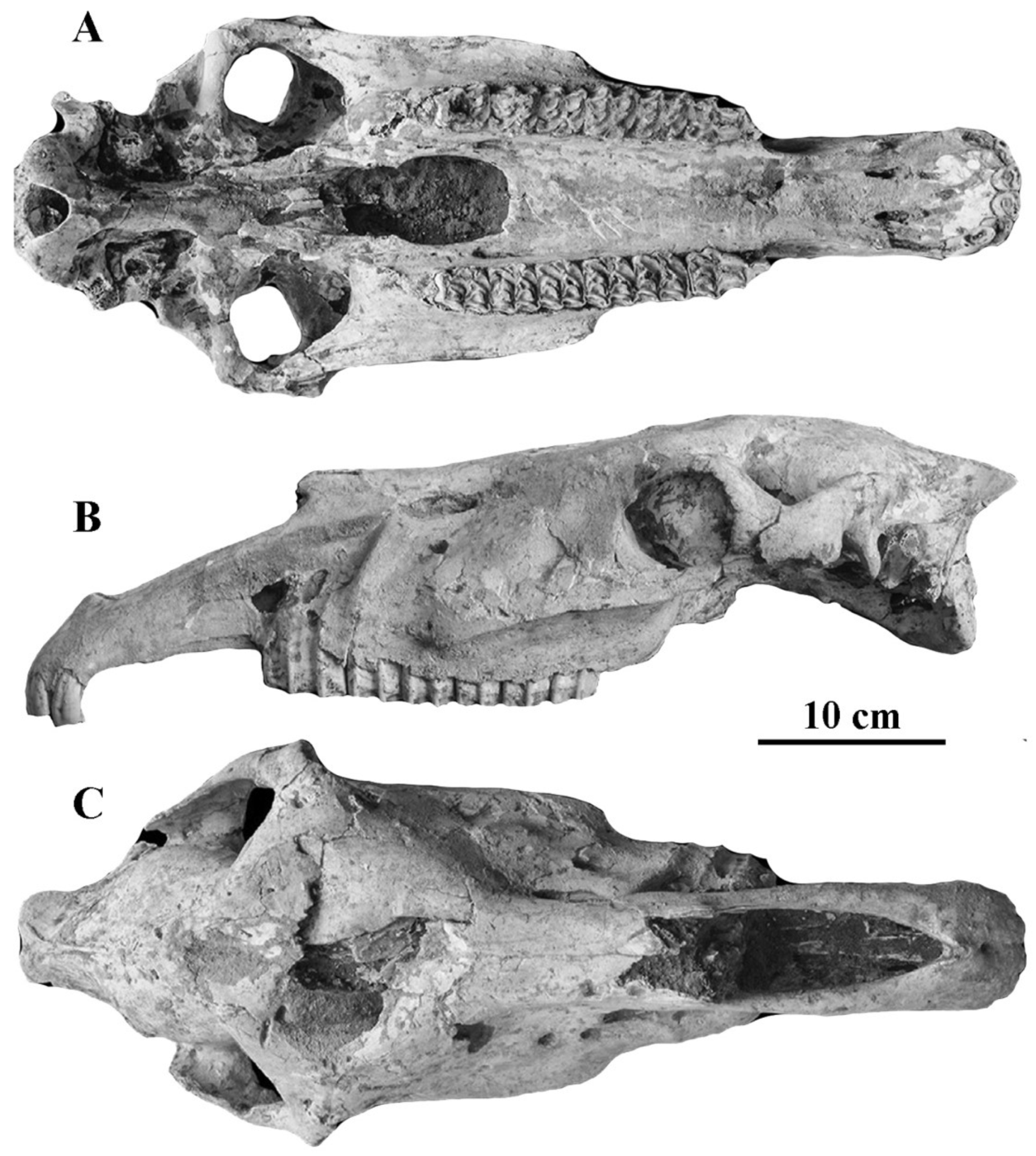 Quaternary 05 00038 g089 Quaternary 05 00038 g089