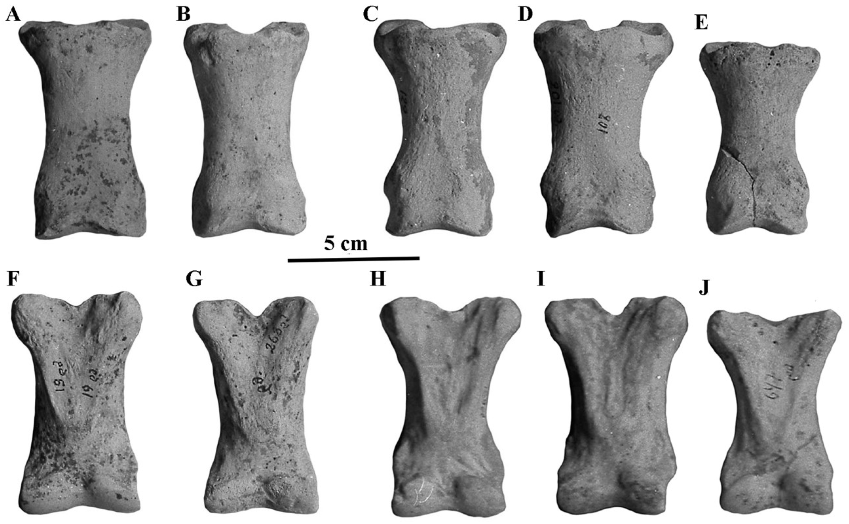 Quaternary 05 00038 g098 Quaternary 05 00038 g098