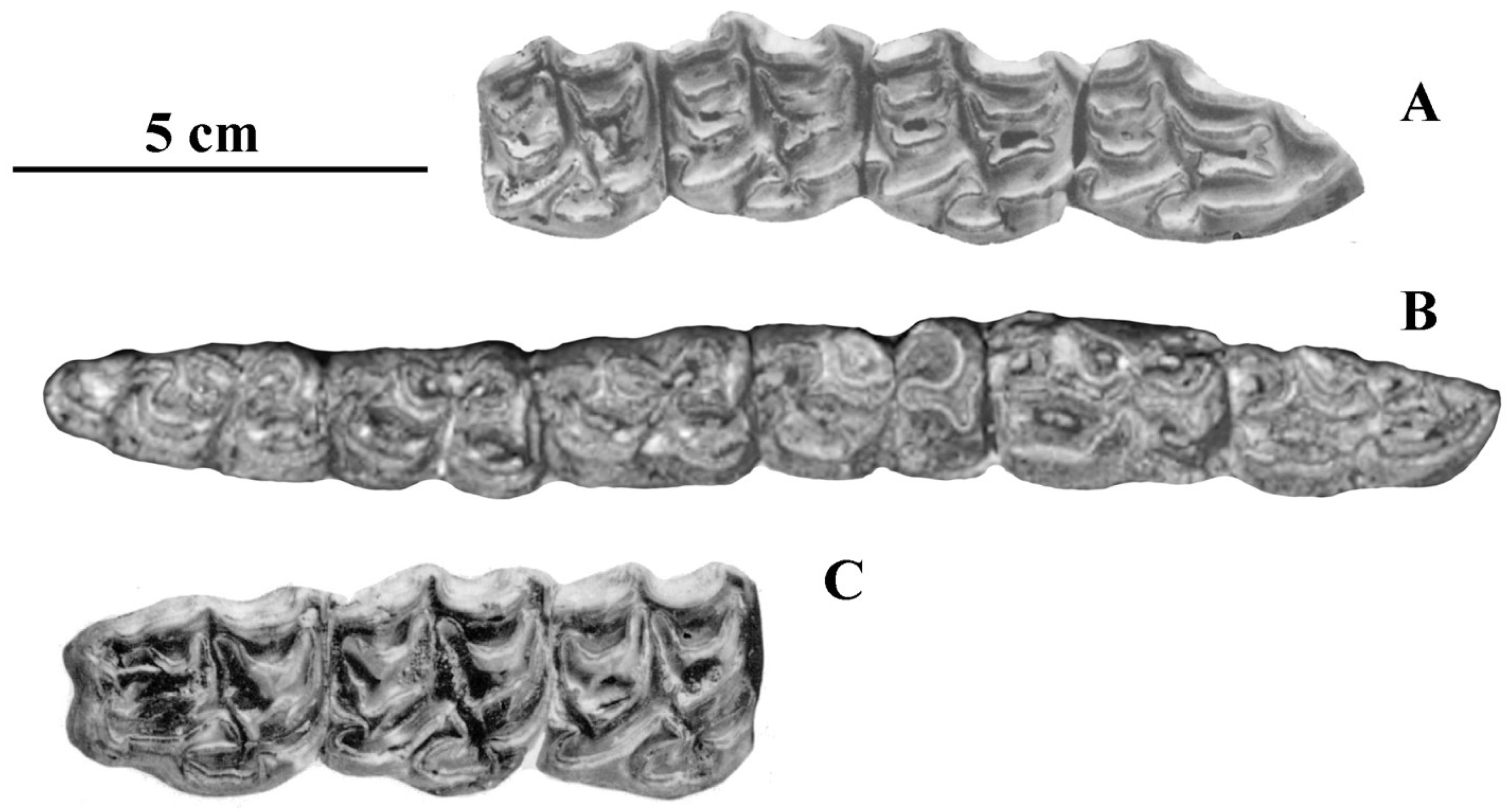 Quaternary 05 00038 g102 Quaternary 05 00038 g102