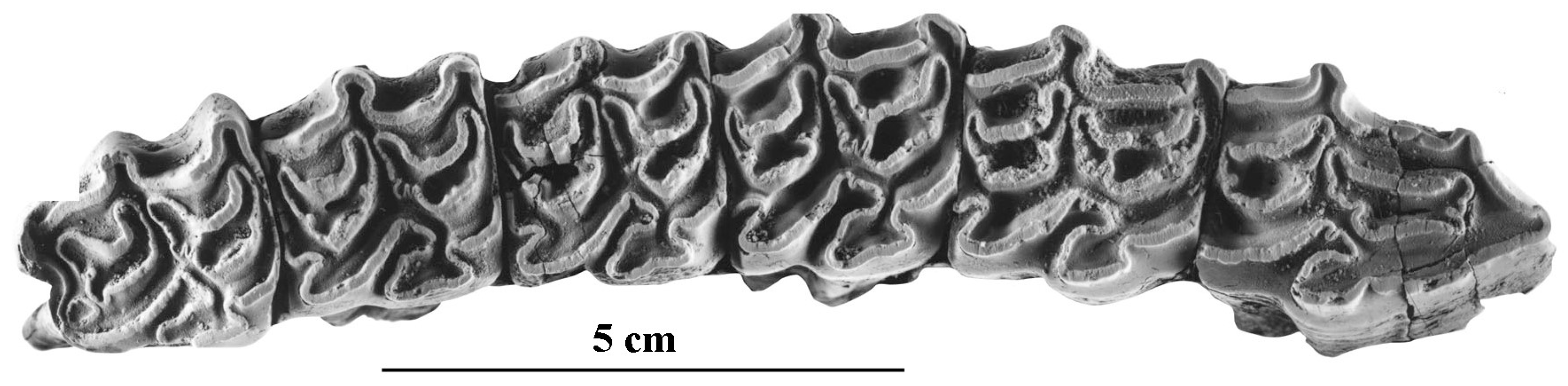 Quaternary 05 00038 g106 Quaternary 05 00038 g106
