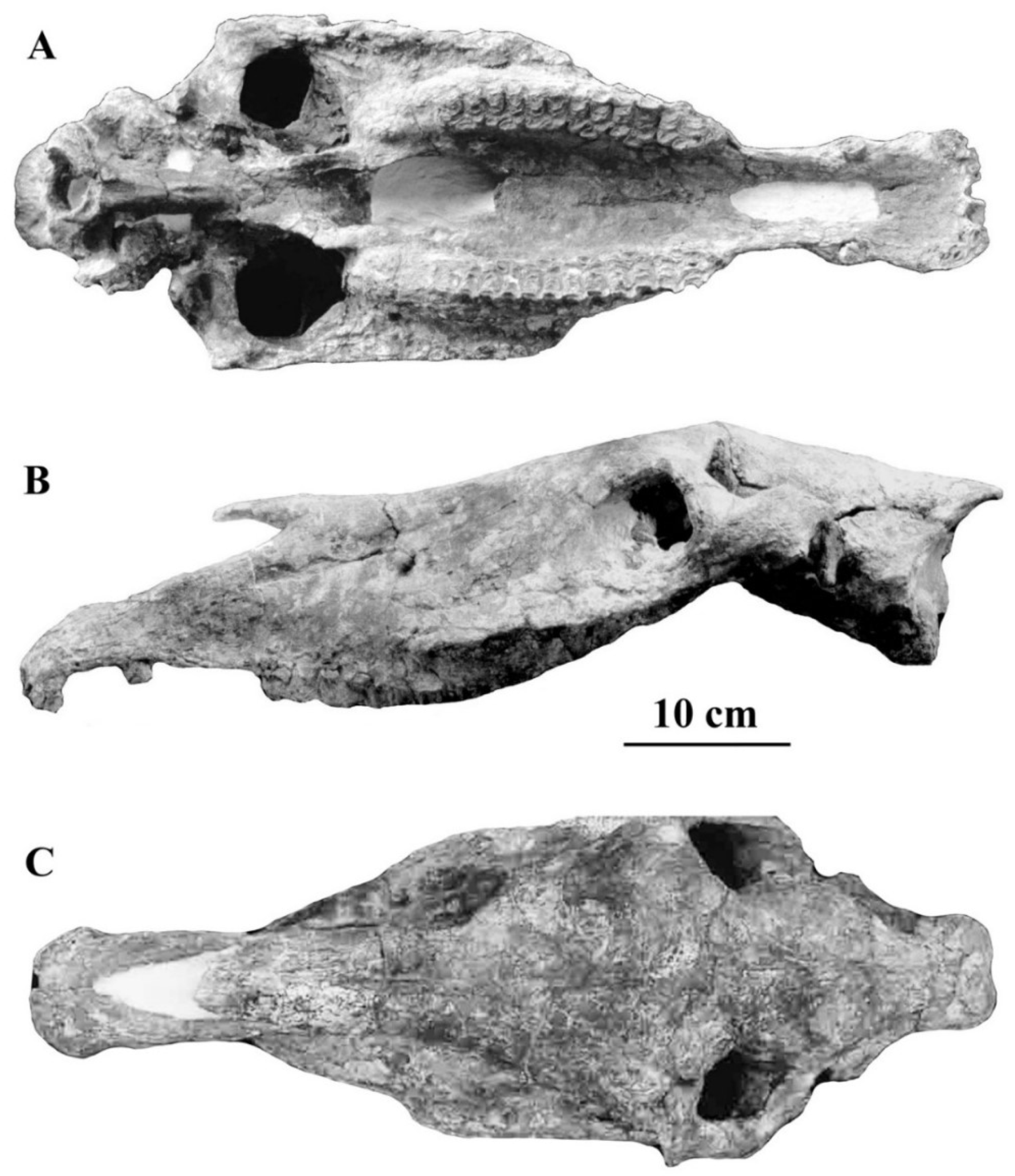 Quaternary 05 00038 g107 Quaternary 05 00038 g107