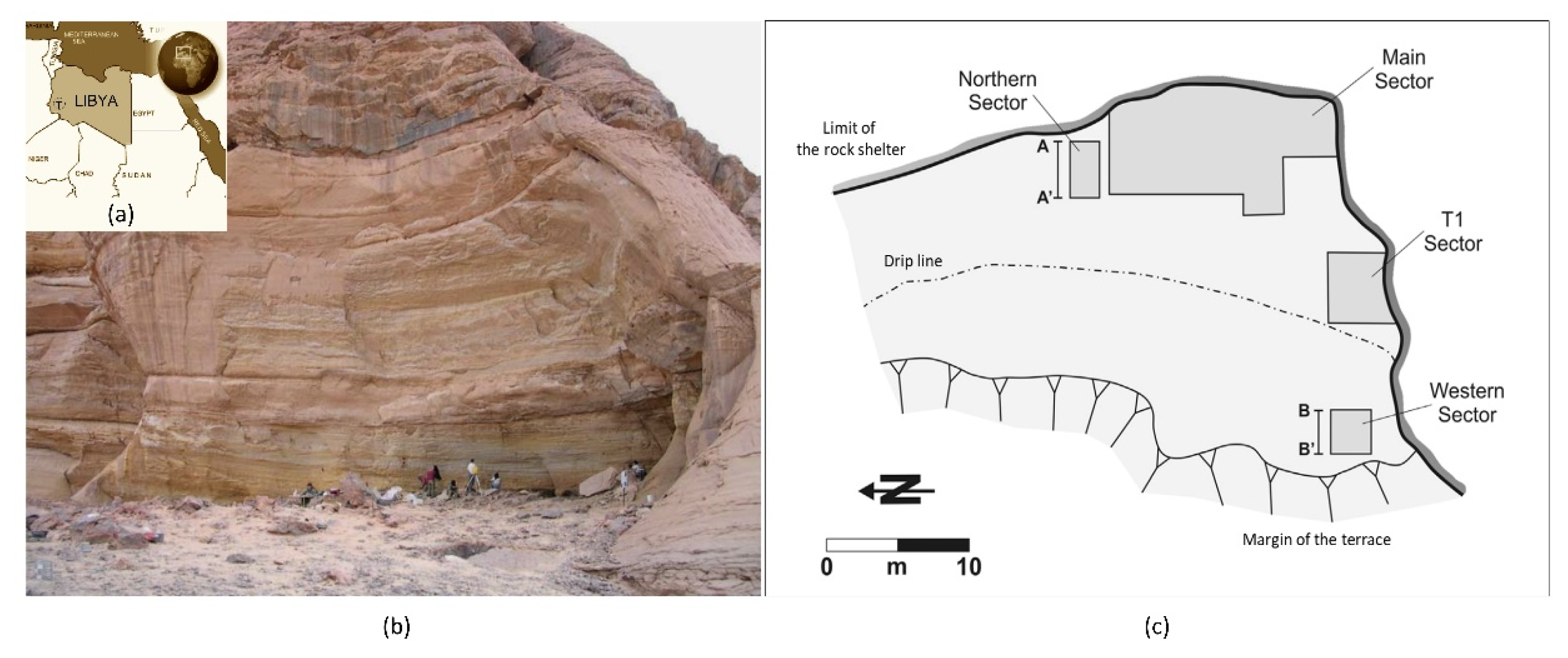 Quaternary 05 00041 g001 Quaternary 05 00041 g001