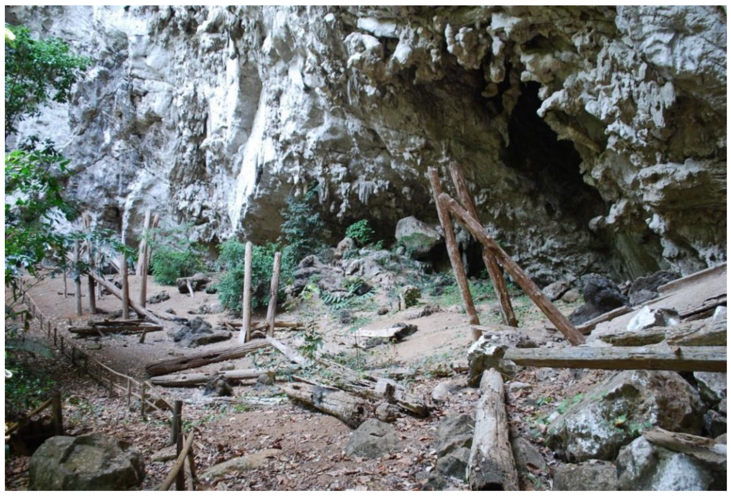 Quaternary 05 00051 g003 Quaternary 05 00051 g003