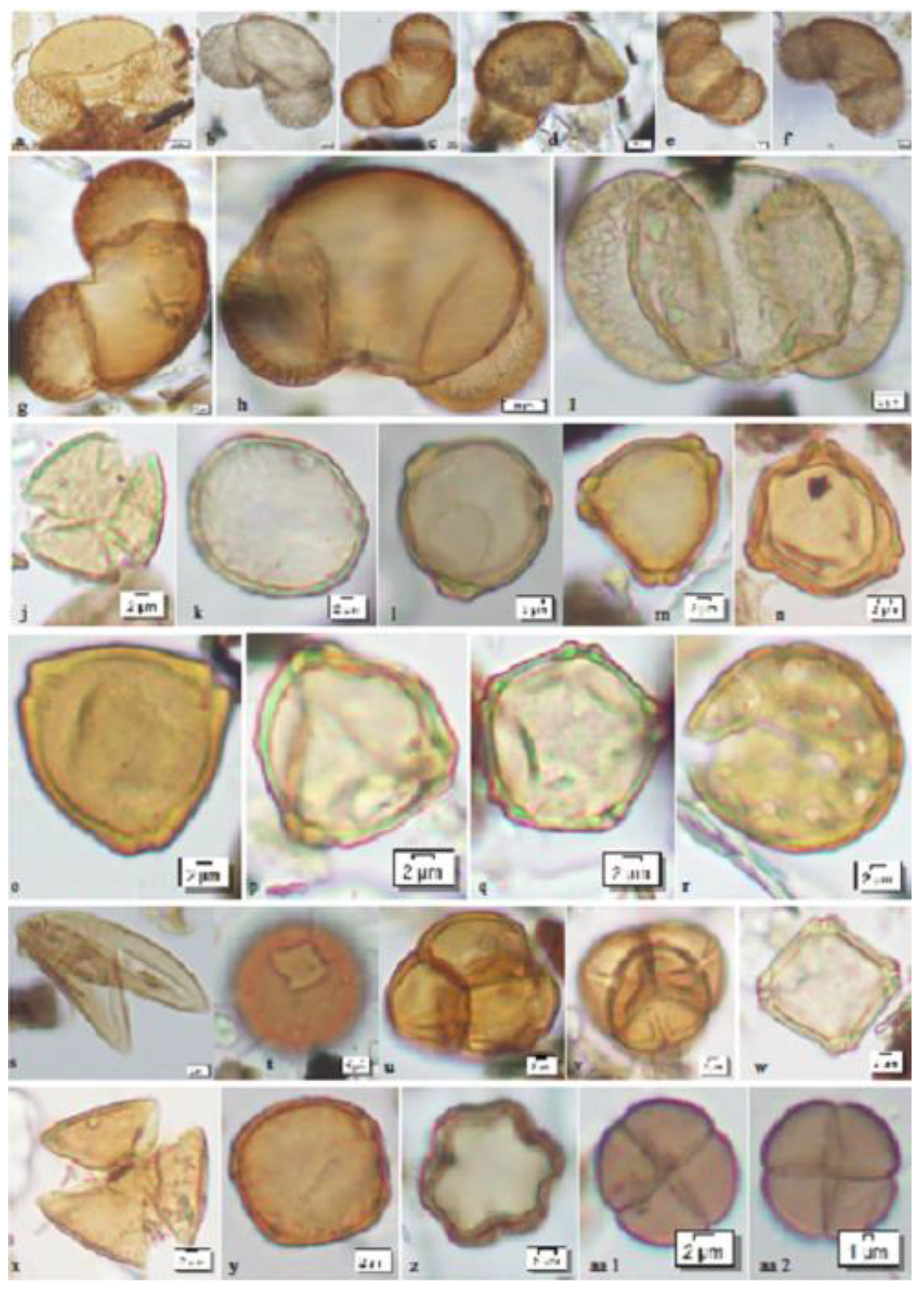 Quaternary 06 00011 g004 Quaternary 06 00011 g004