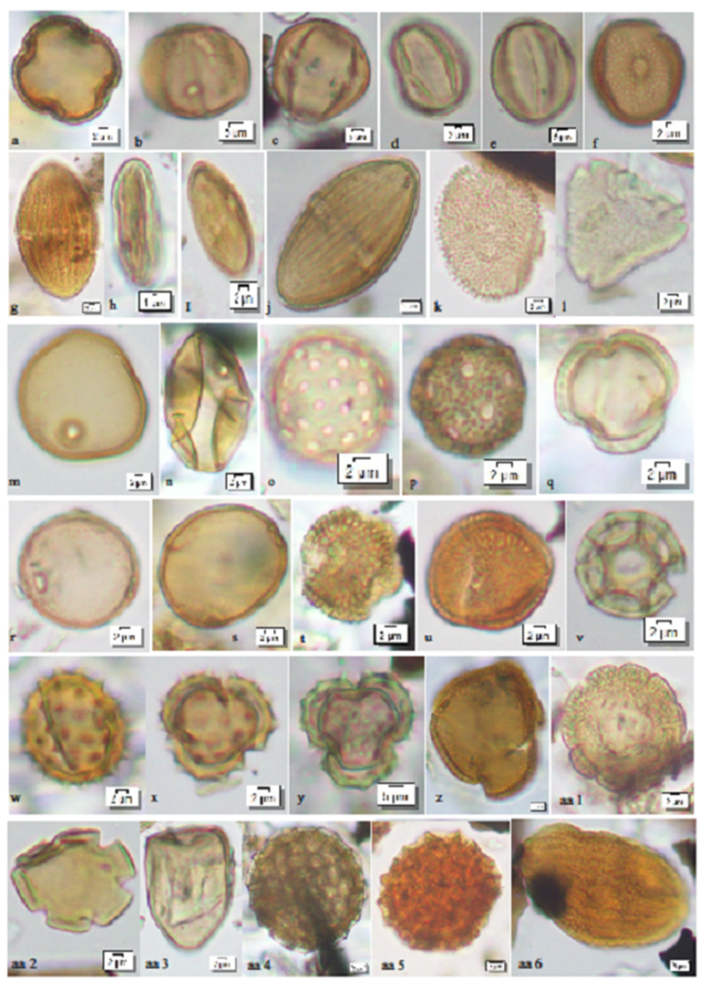 Quaternary 06 00011 g005 Quaternary 06 00011 g005
