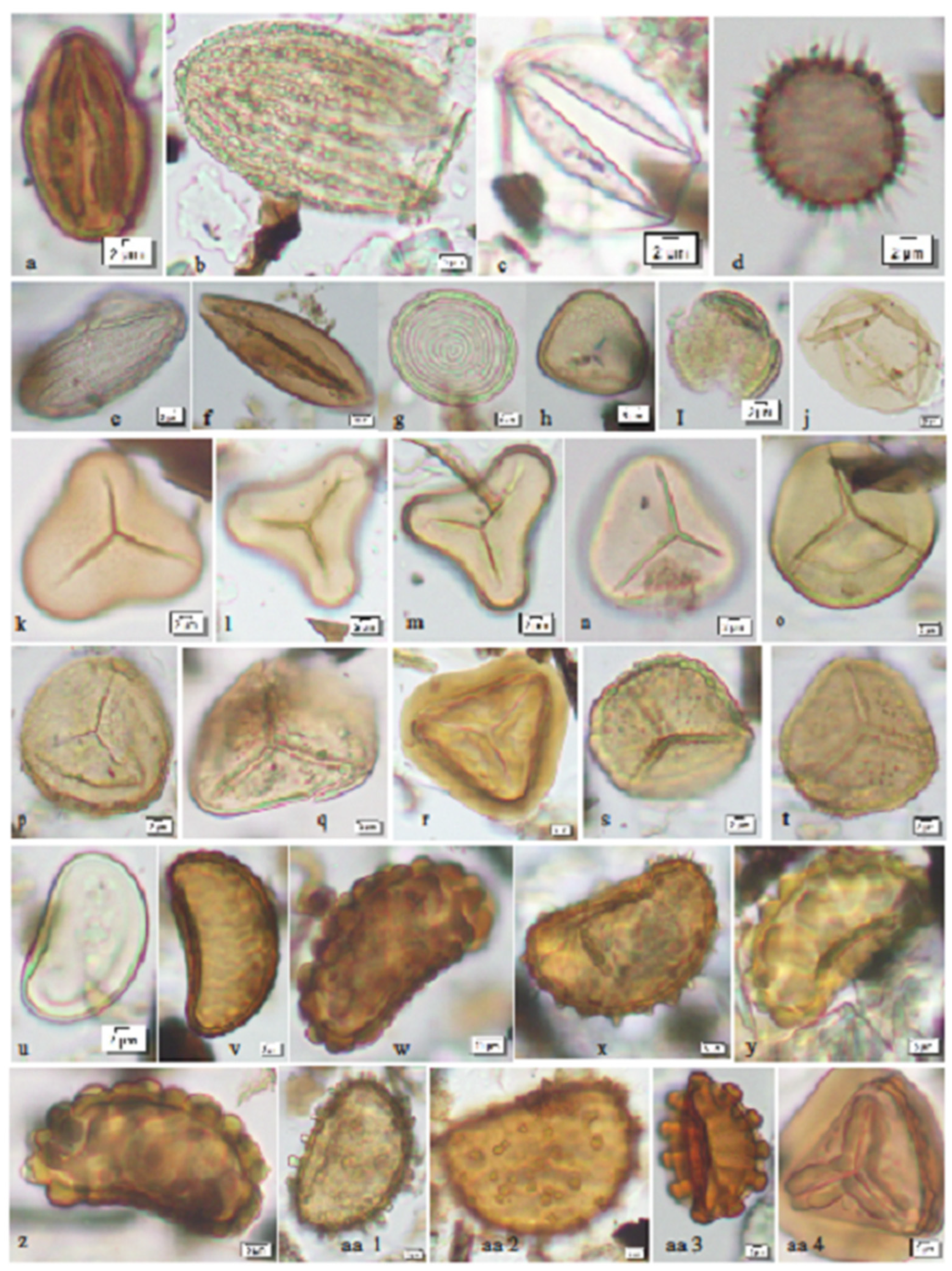 Quaternary 06 00011 g006 Quaternary 06 00011 g006