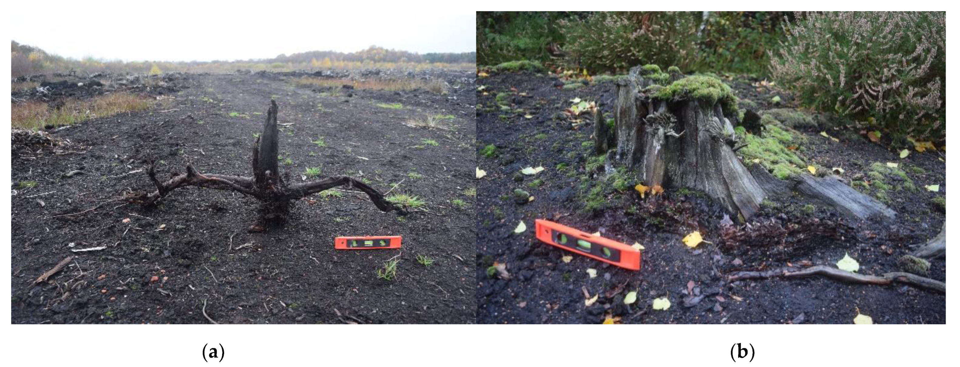 Quaternary 06 00012 g001