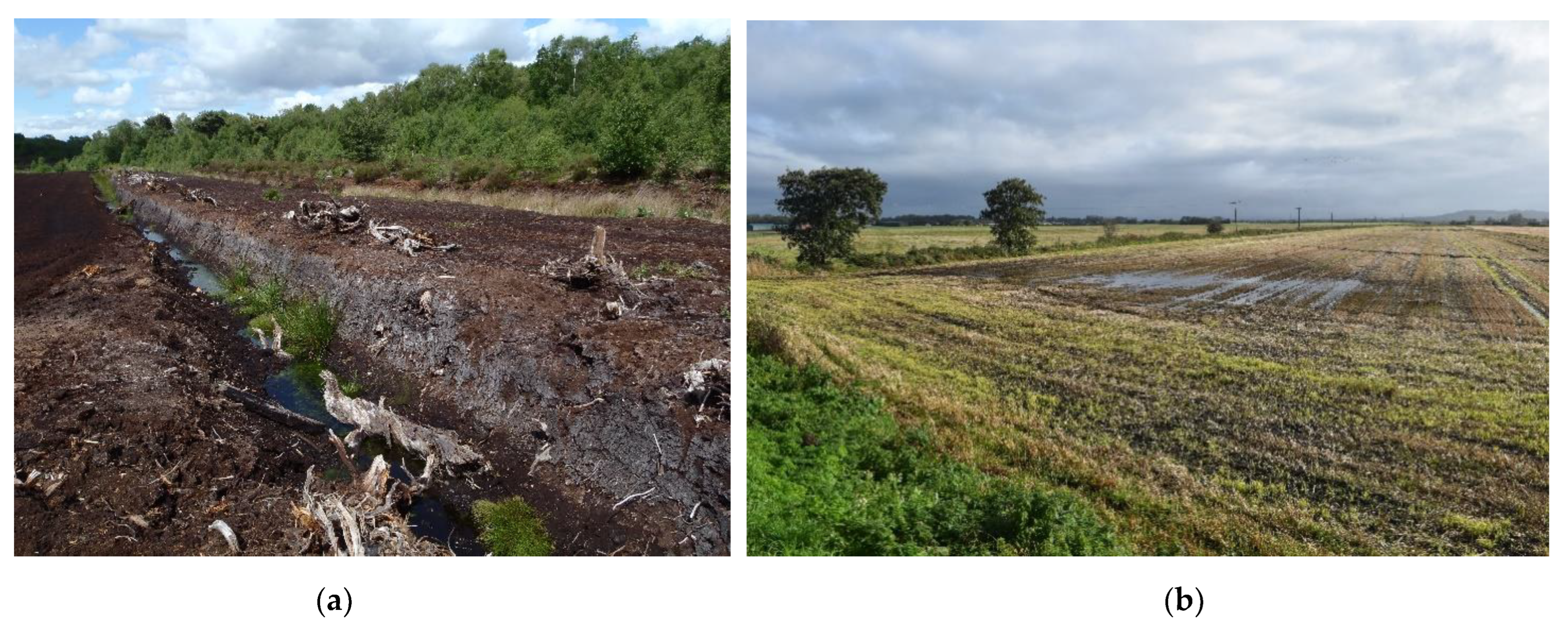 Quaternary 06 00012 g002