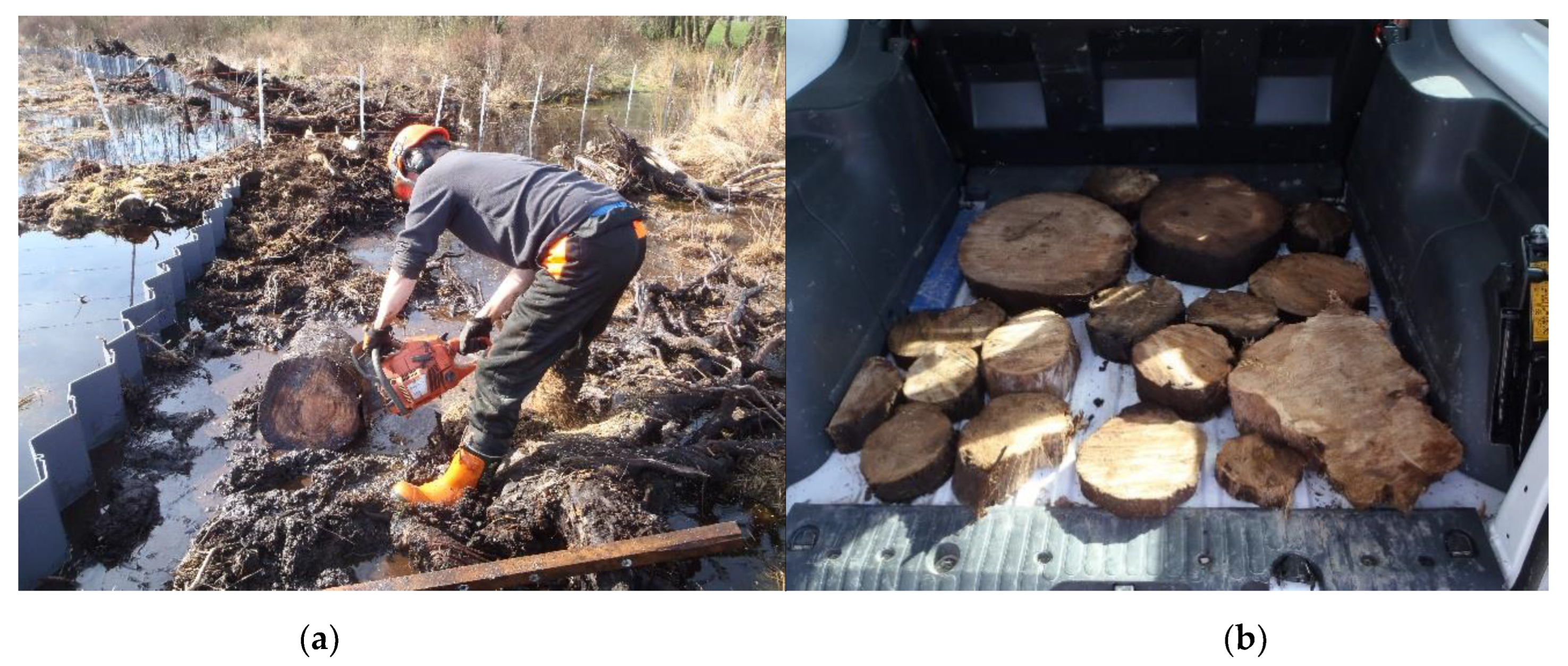 Quaternary 06 00012 g004