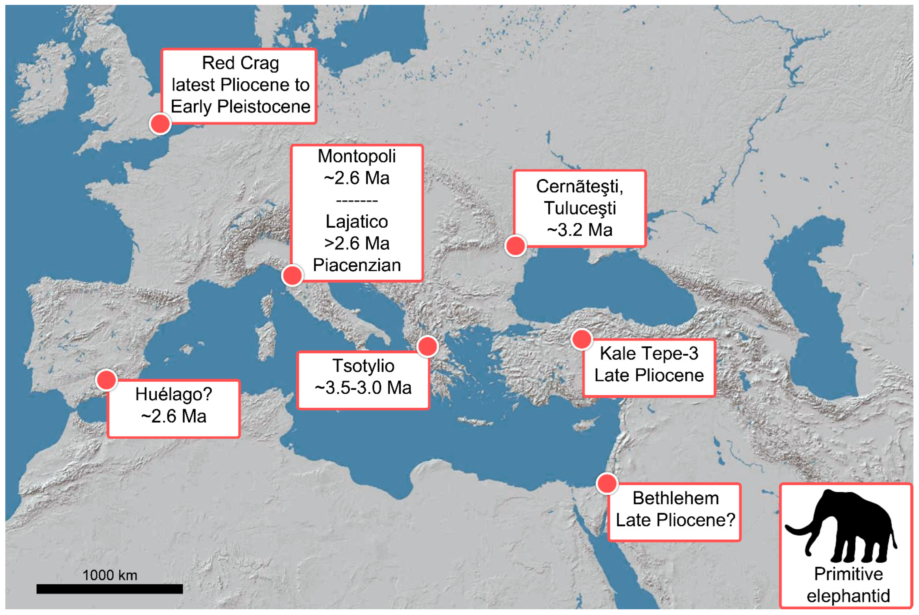 Quaternary 06 00016 g001