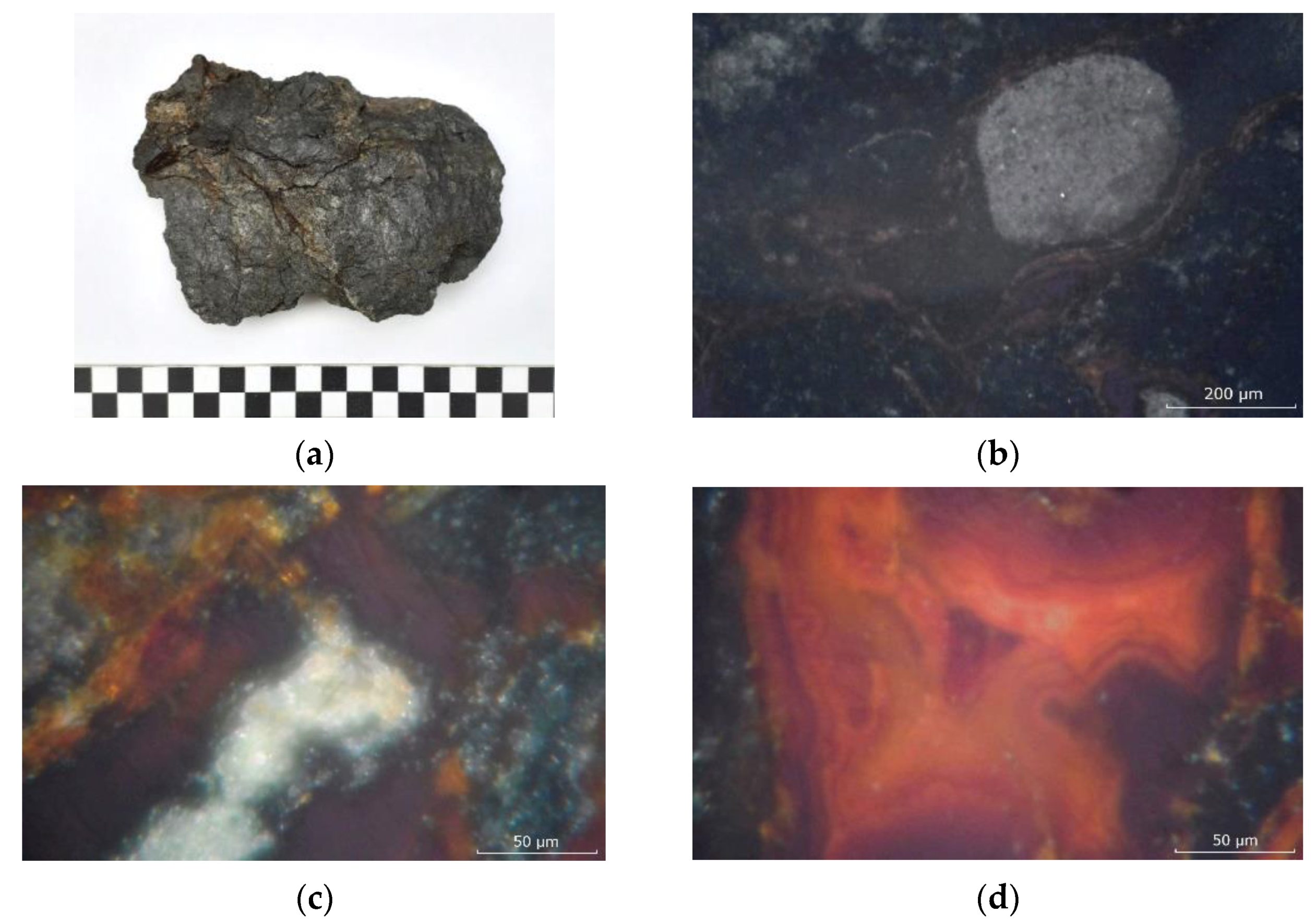 Quaternary 06 00018 g005 Quaternary 06 00018 g005