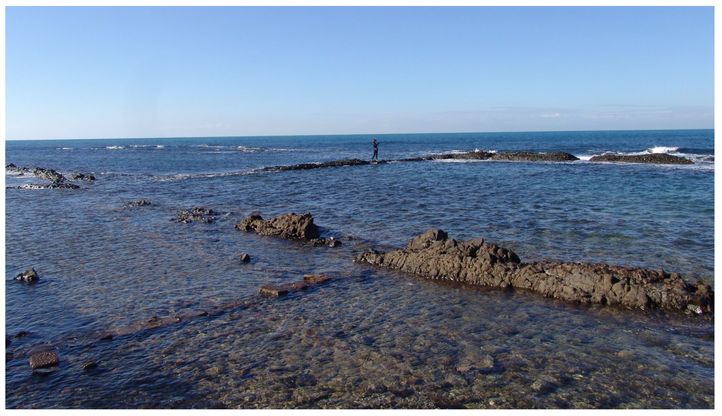 Quaternary 06 00024 g004