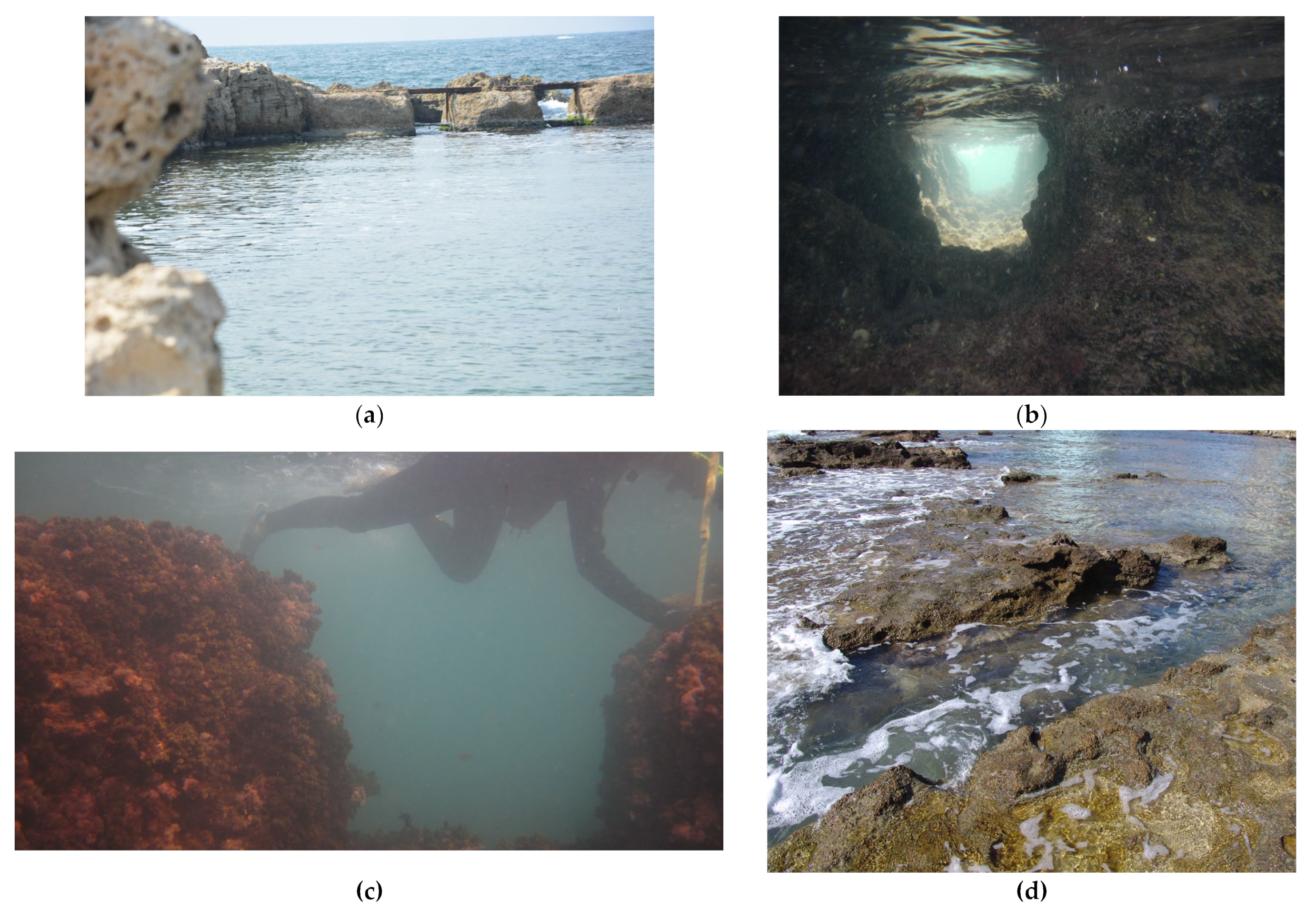 Quaternary 06 00024 g007